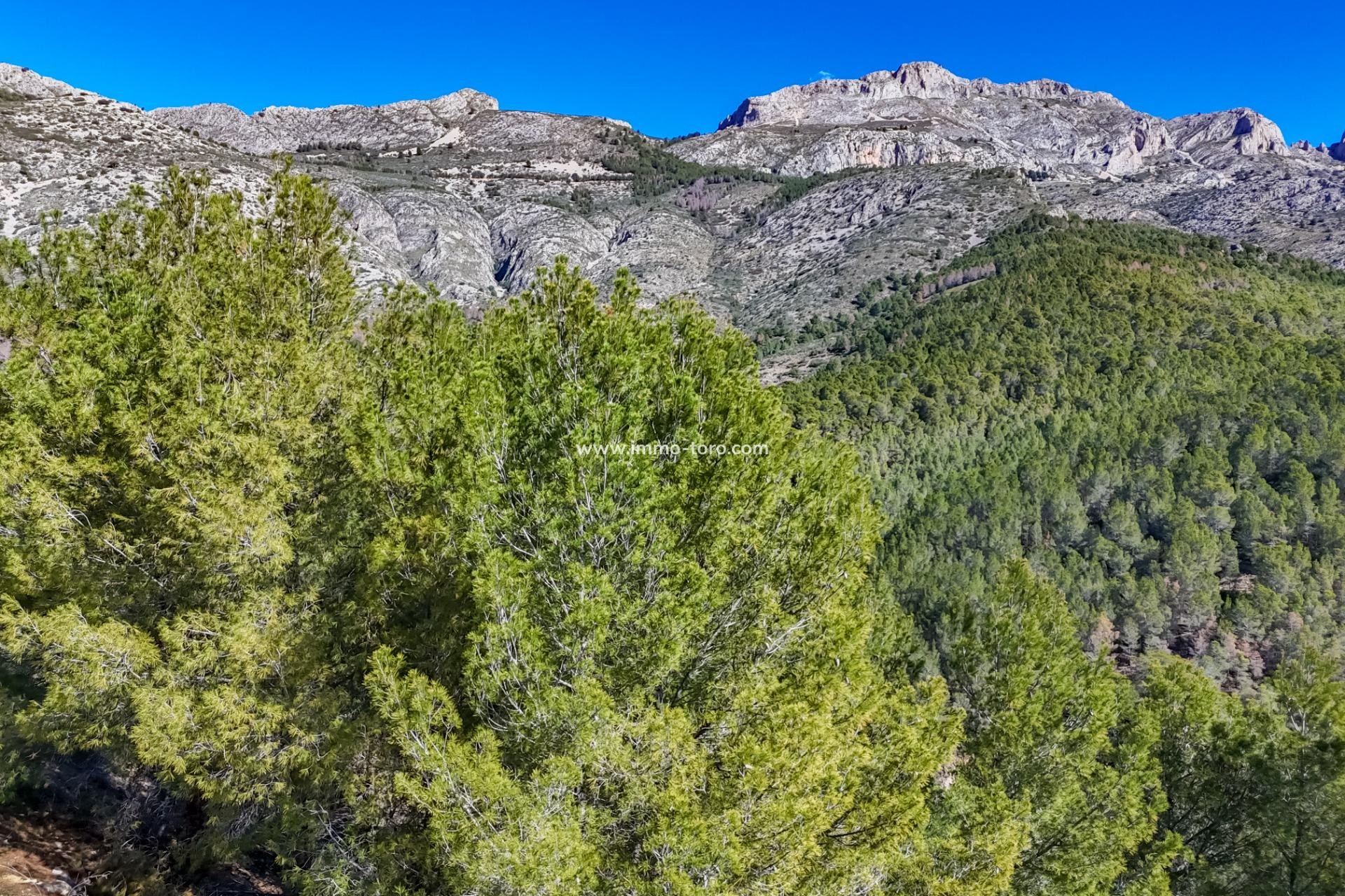 Resale - Plot - Callosa d'en Sarrià - Santa clara