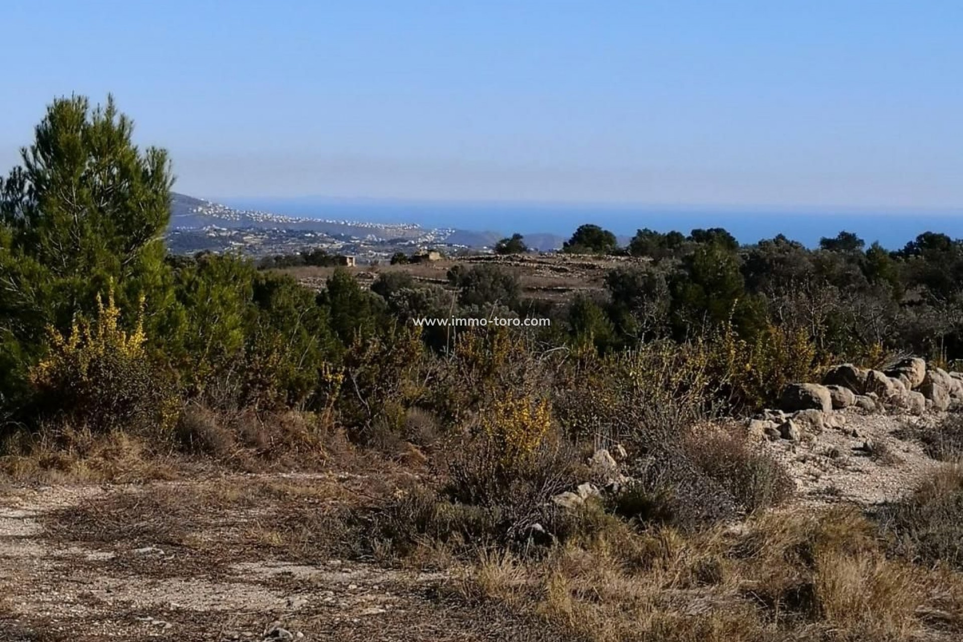 Resale - Plot - Jalon - Xalo - Jalon