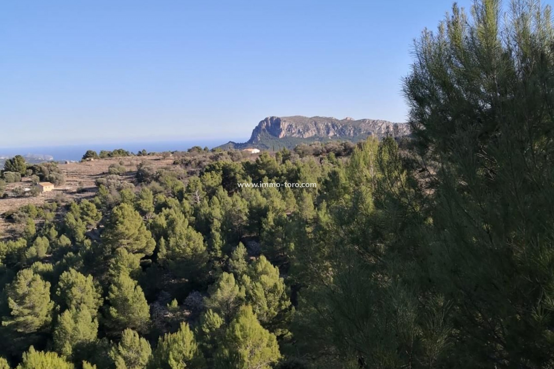 Resale - Plot - Jalon - Xalo - Jalon