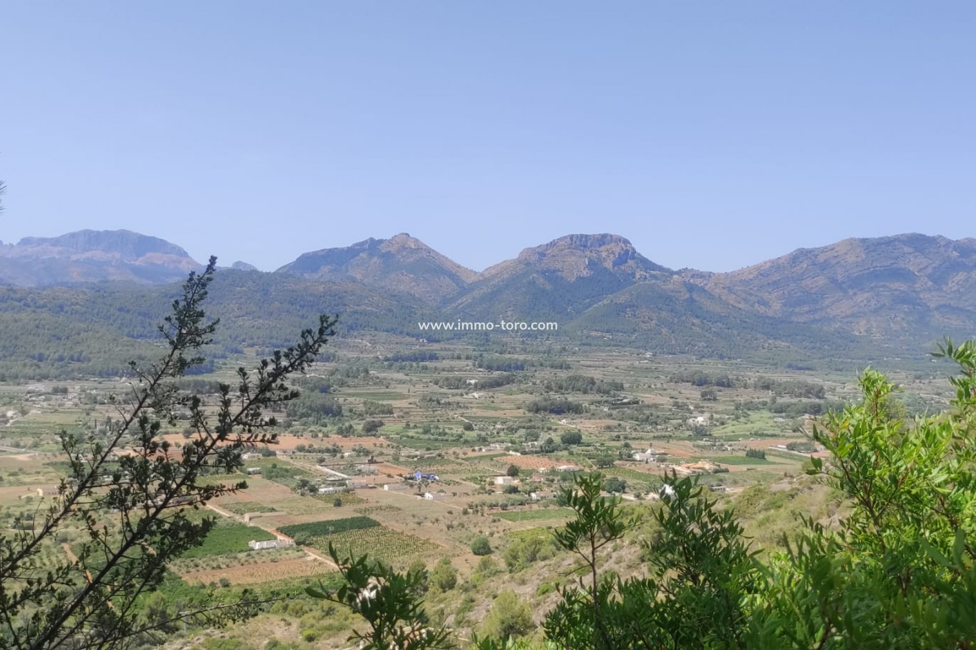 Resale - terrain - Jalón