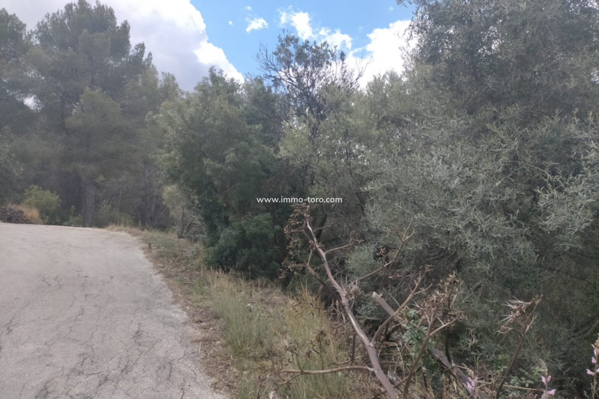 Resale - terrain - Orba - El Aspre