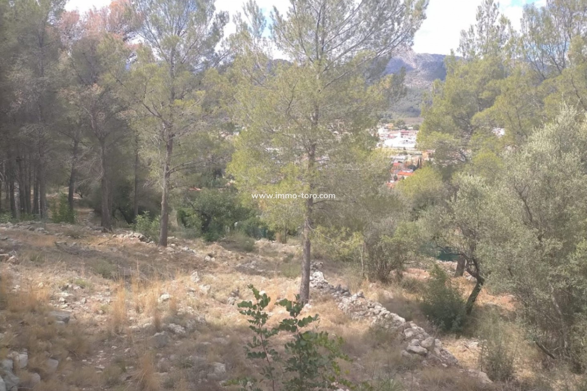 Resale - terrain - Orba - El Aspre
