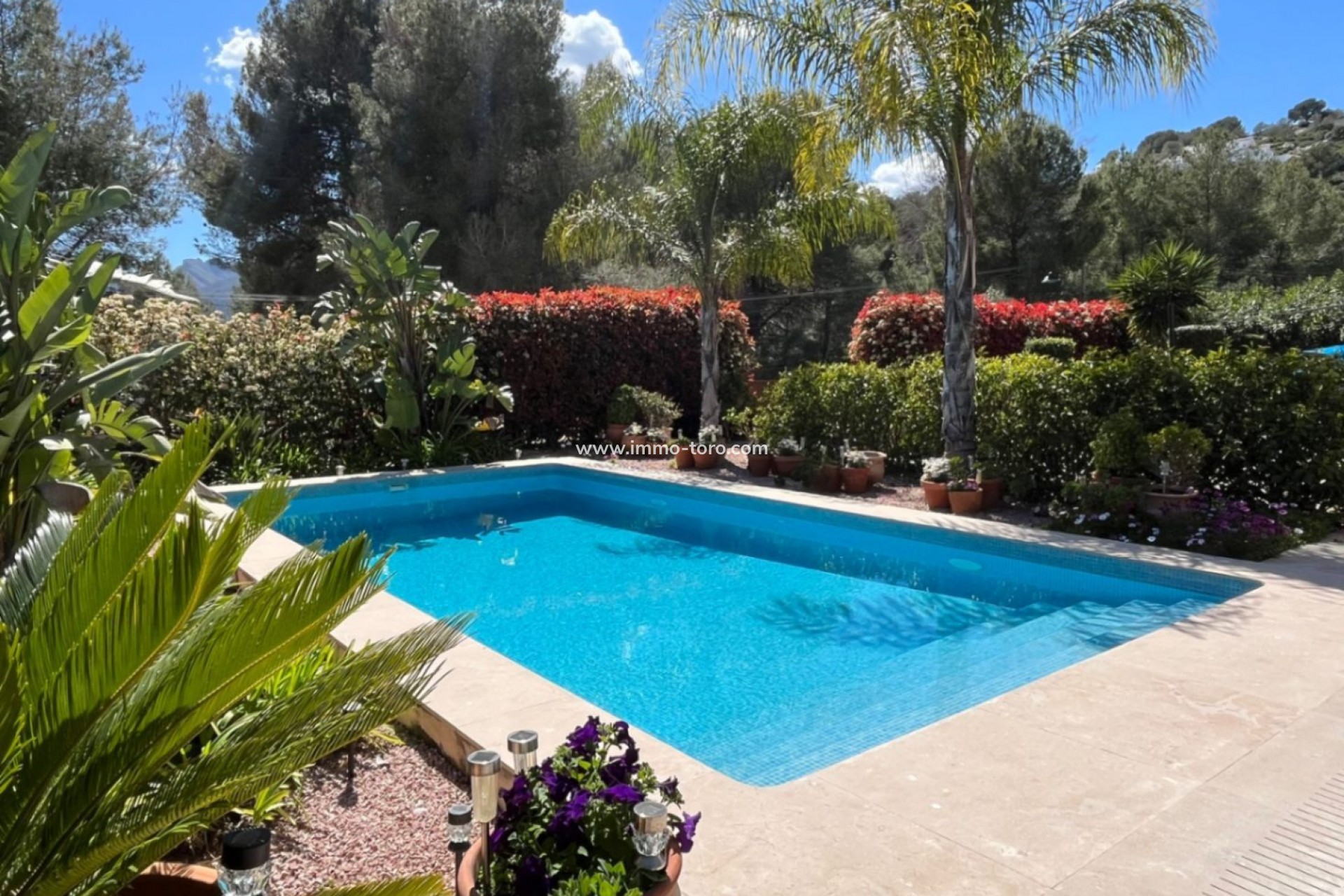 Resale - Villa - Alcalalí