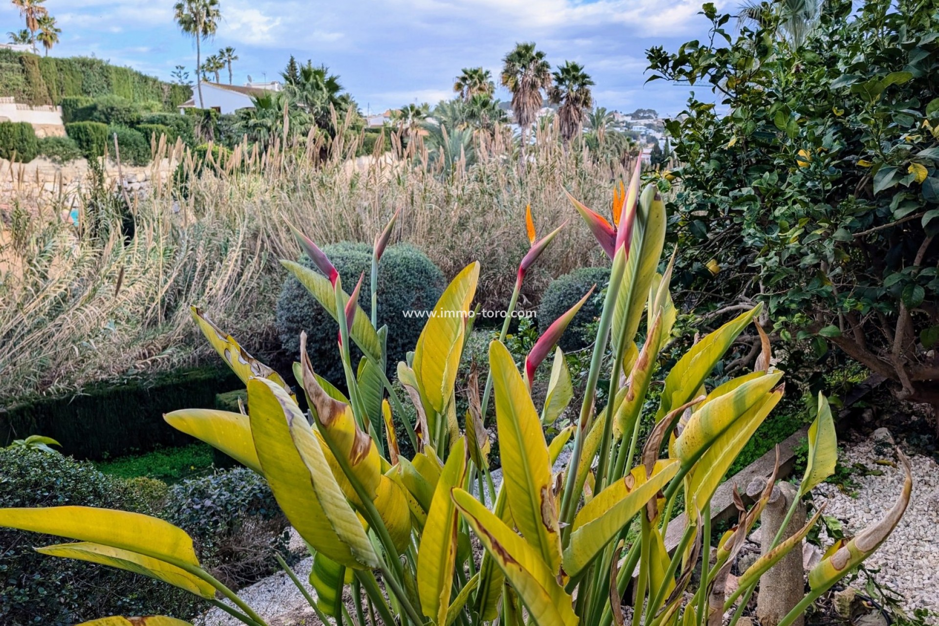 Resale - Villa - Benissa - Fanadix