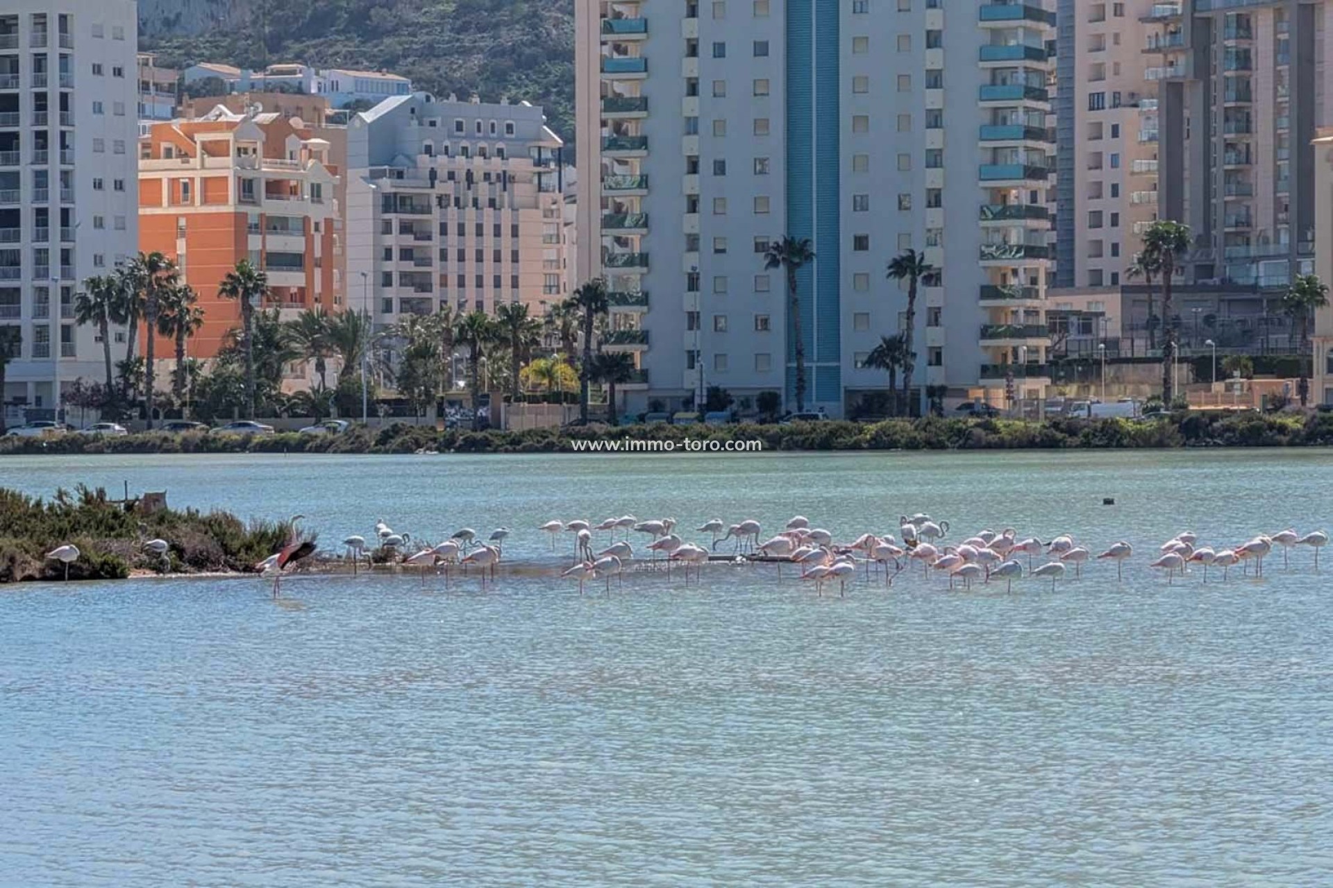 Resale - Villa - Calpe - Cometa-Carrió