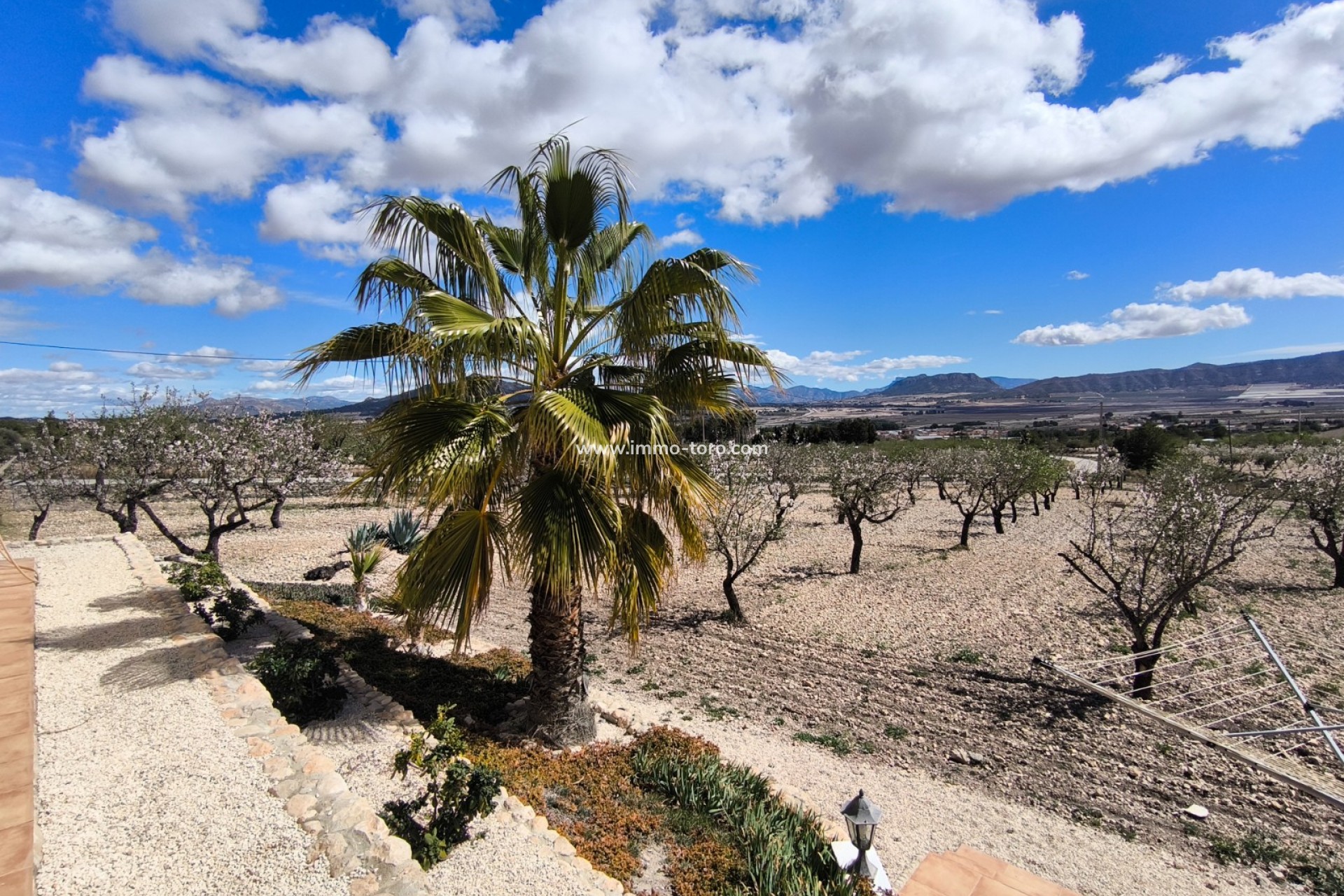 Resale - Villa - Sax - Salinas