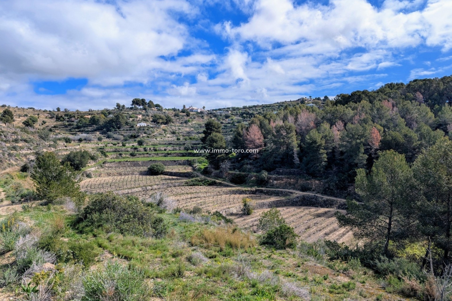 Revente - Plot - Benissa - Partida Biasner