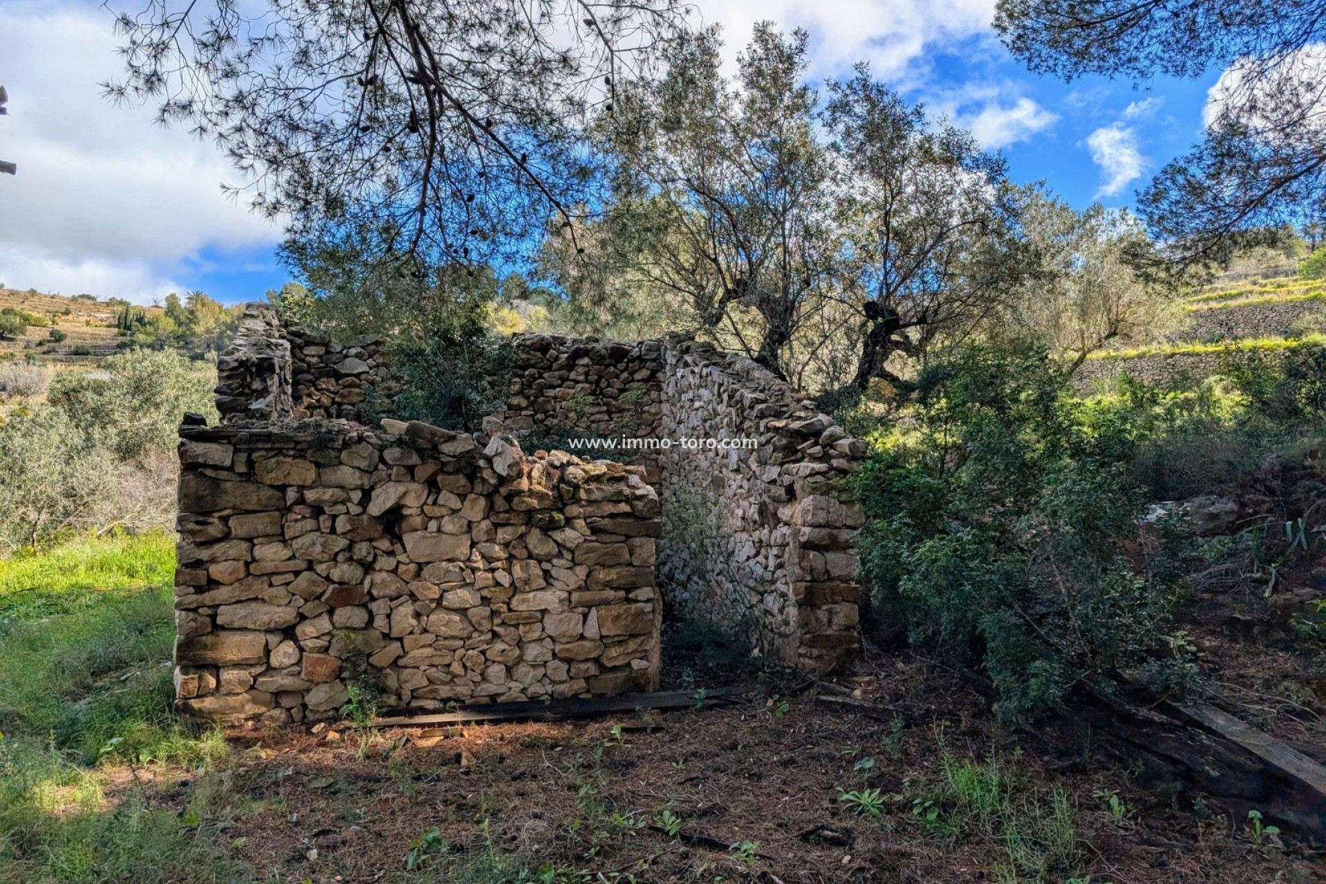 Revente - Plot - Benissa - Partida Biasner