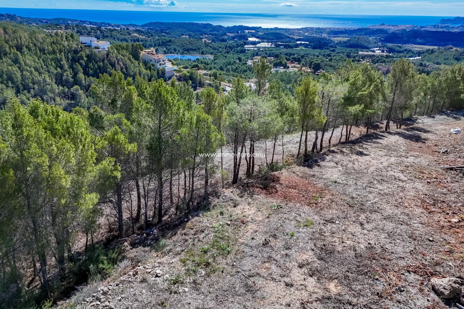 Revente - Plot - Callosa d'en Sarrià - Santa clara