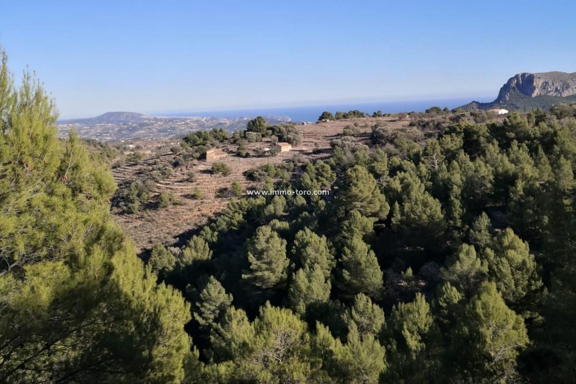 Revente - Plot - Jalon - Xalo - Jalon