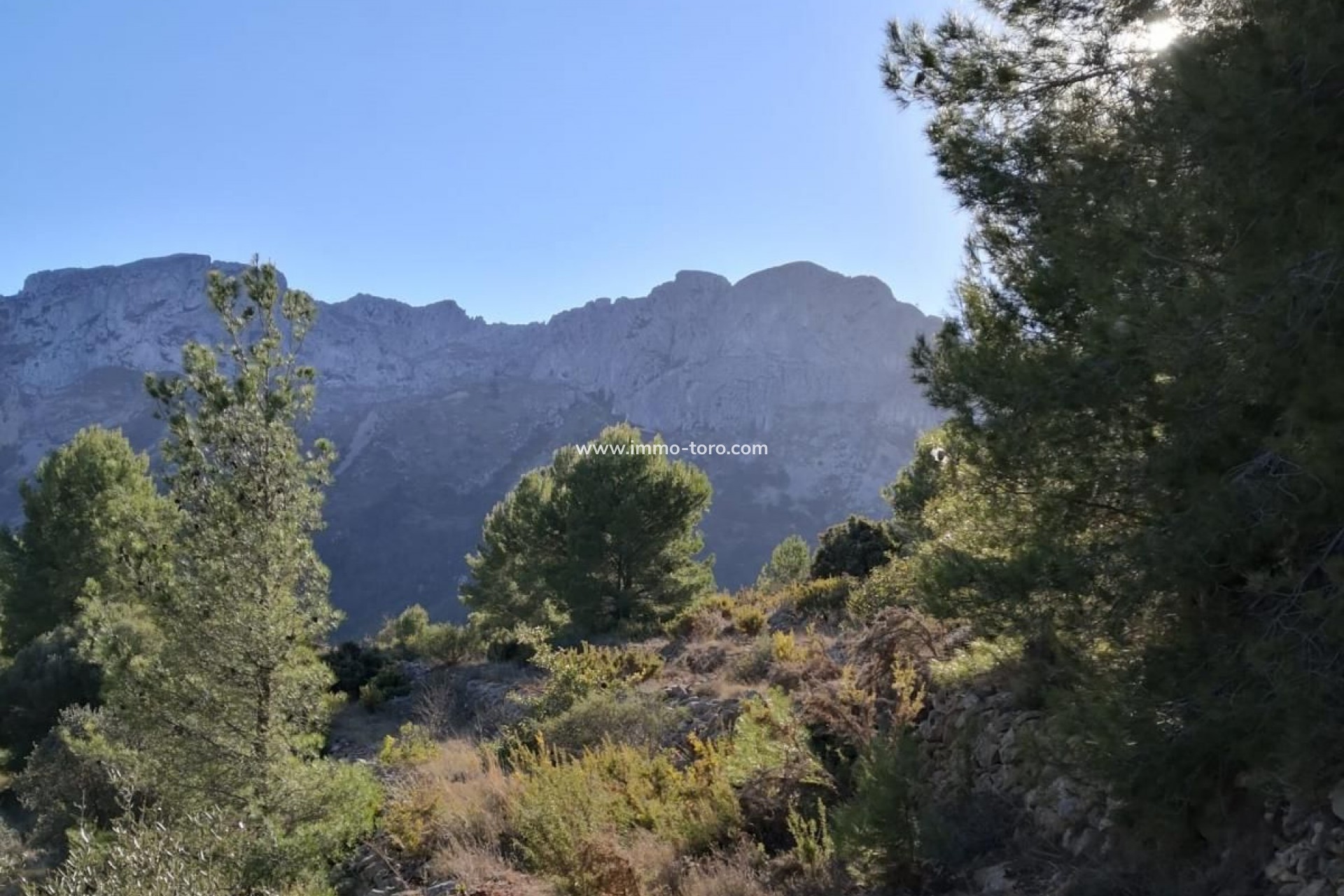 Revente - Plot - Jalon - Xalo - Jalon