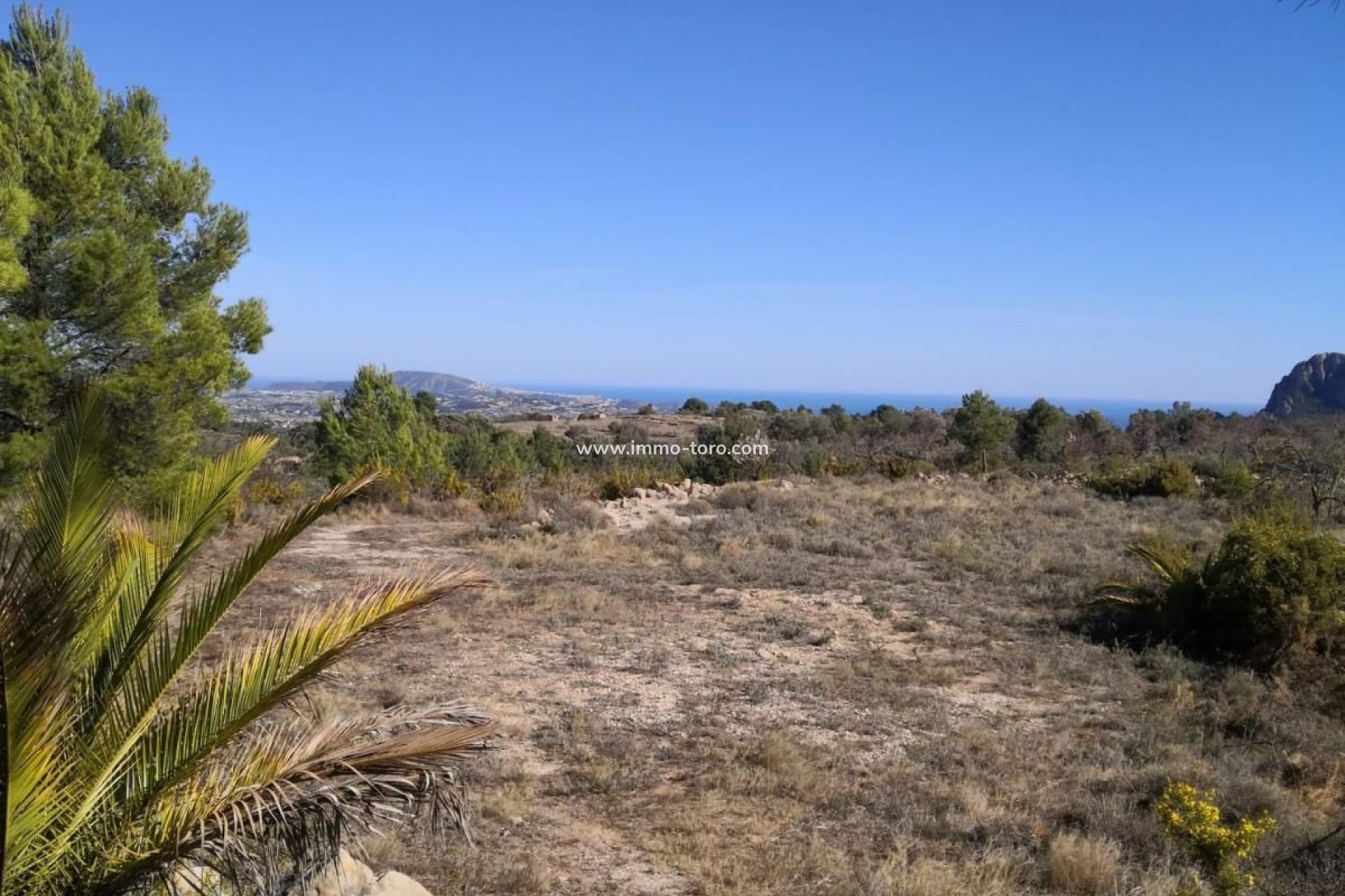 Revente - Plot - Jalon - Xalo - Jalon