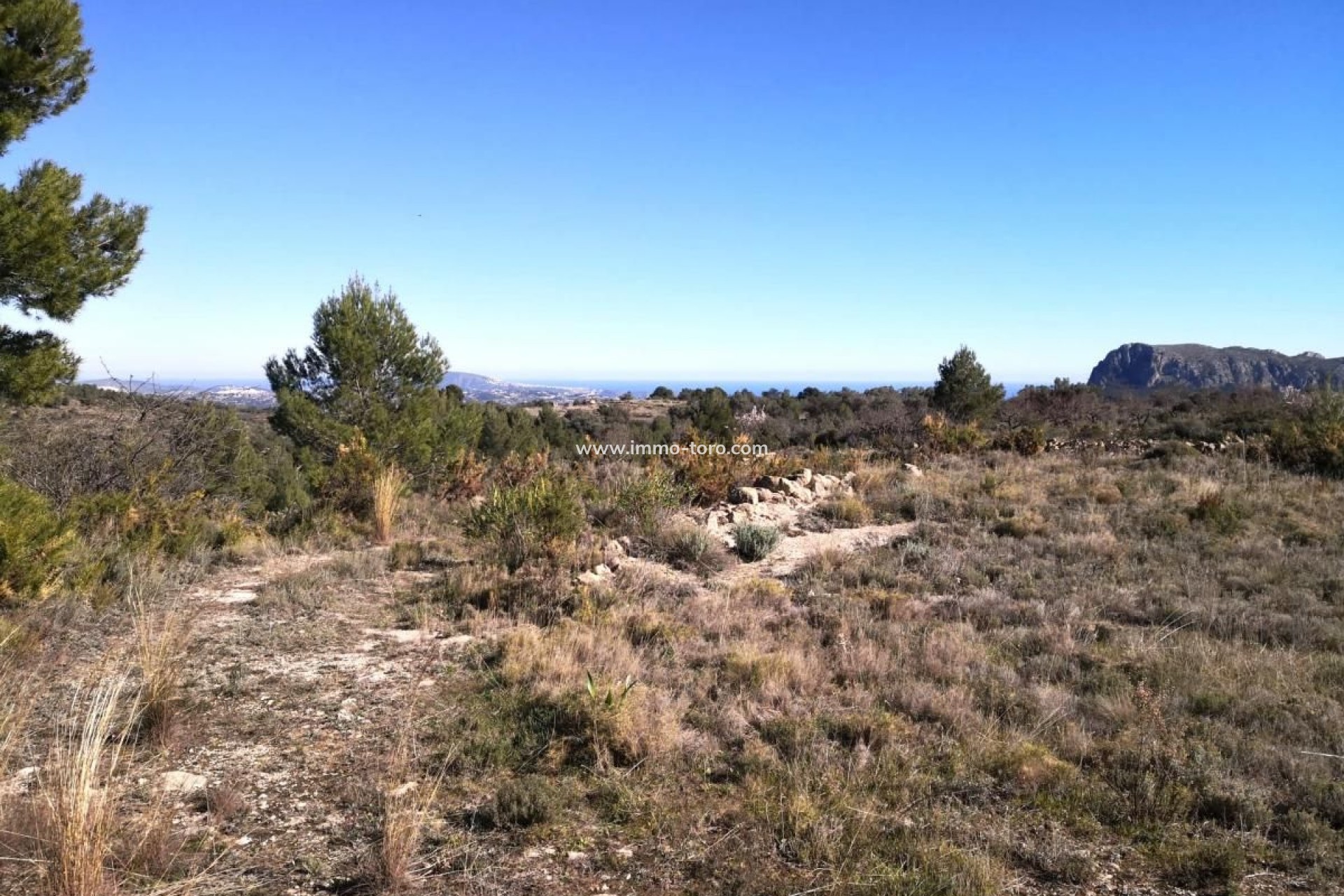 Revente - Plot - Jalon - Xalo - Jalon