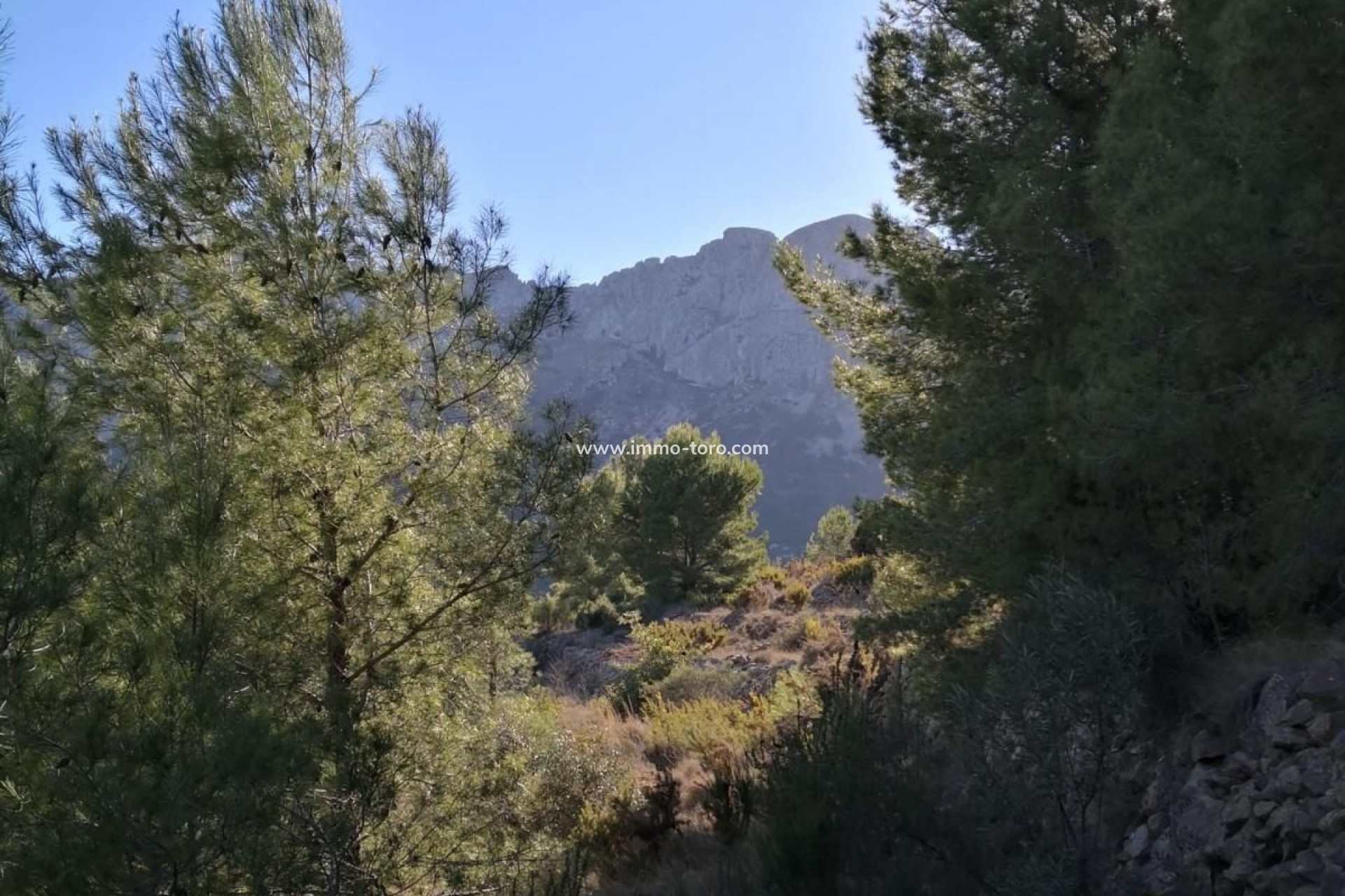 Revente - Plot - Jalon - Xalo - Jalon