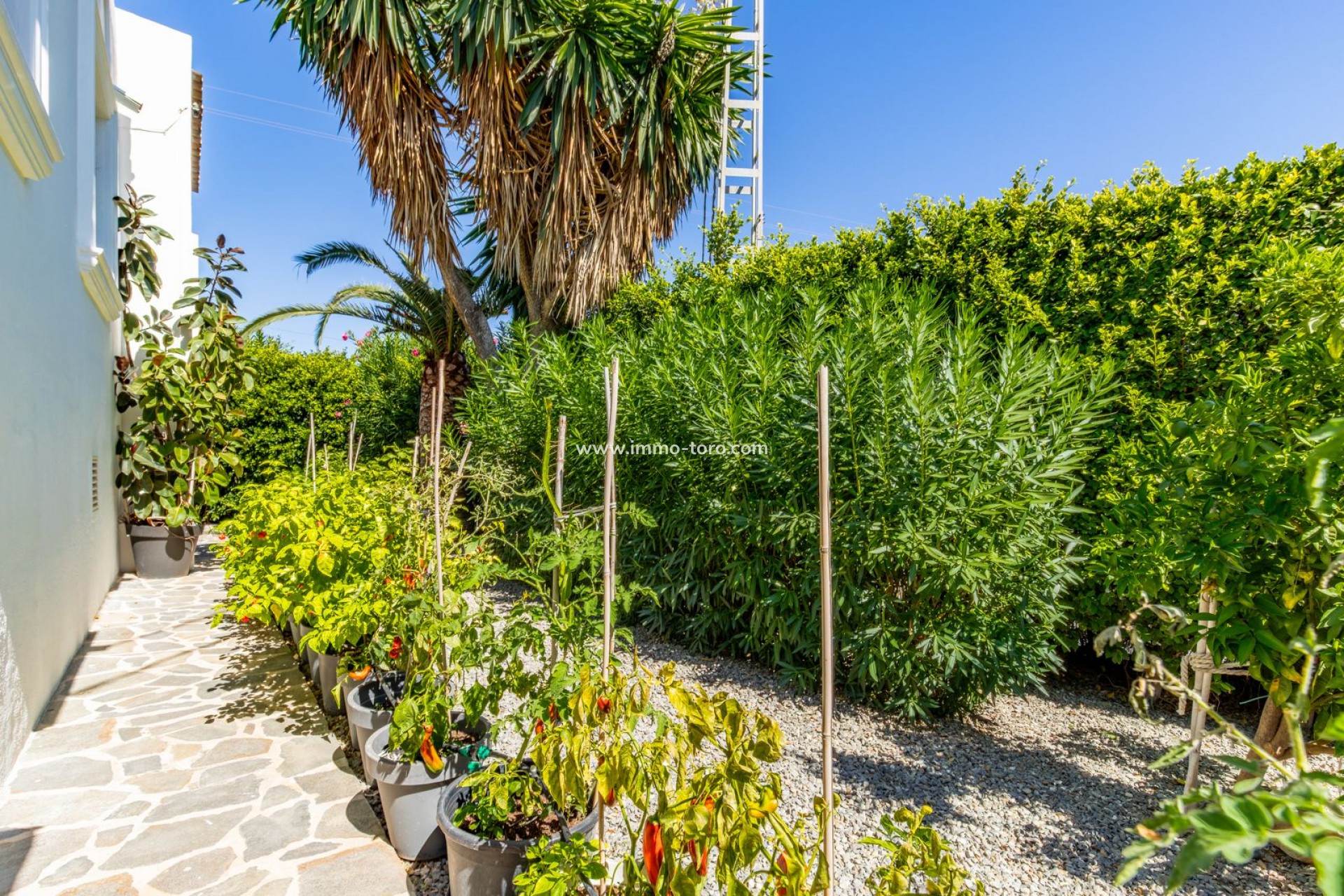 Revente - Villa - Benissa - Baladrar