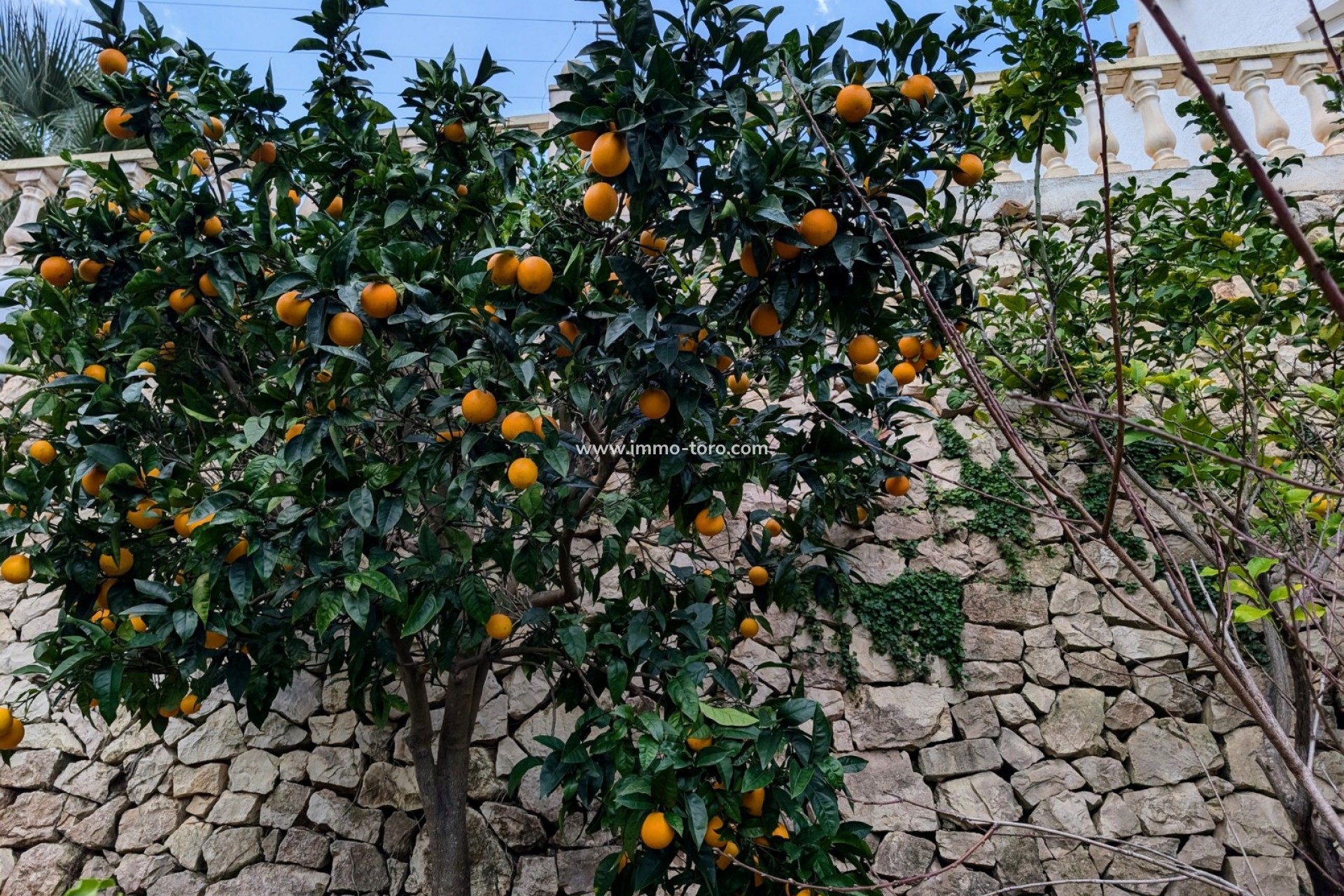 Revente - Villa - Benissa - Fanadix