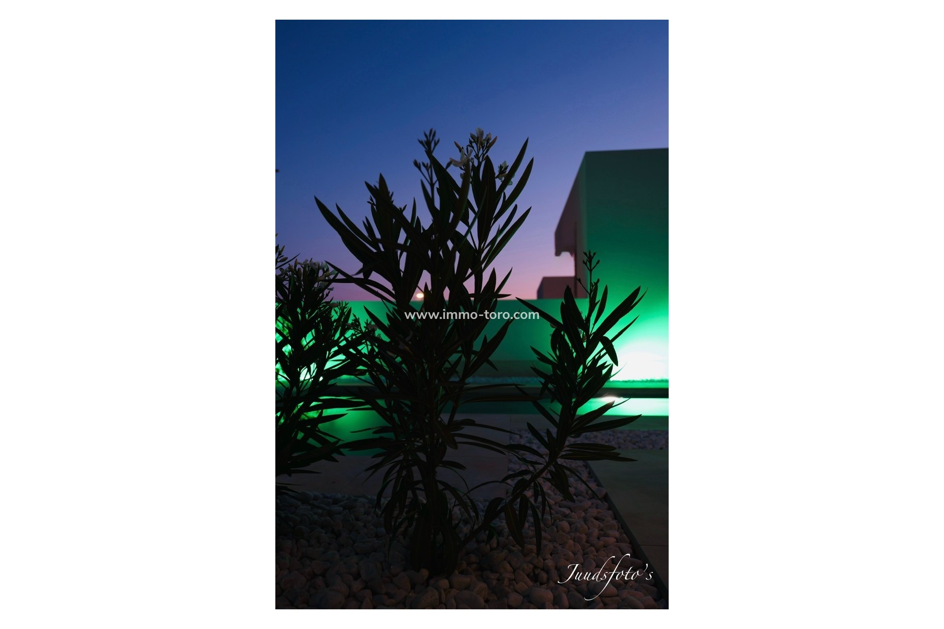 Revente - Villa - Finestrat