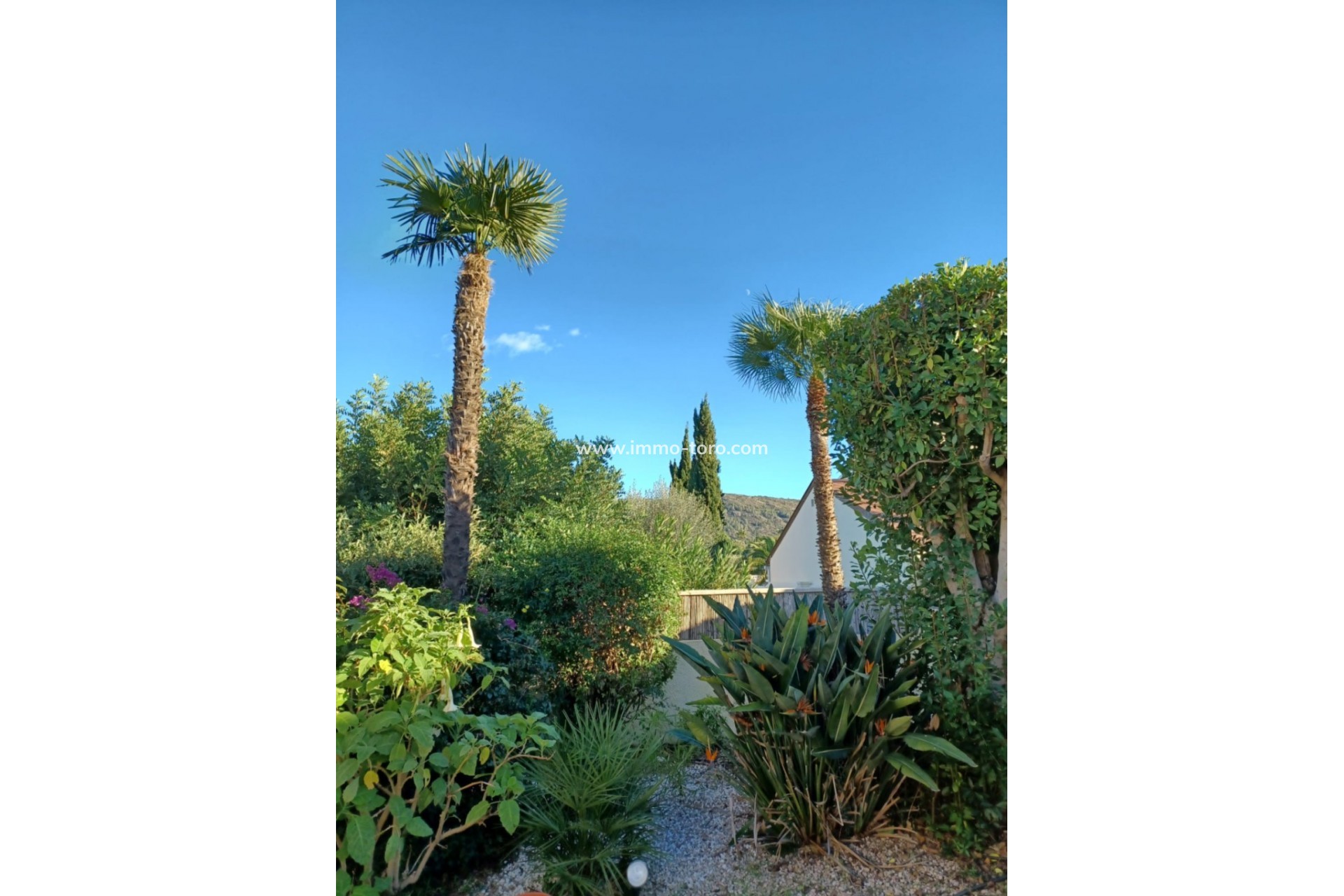 Revente - Villa - Orba