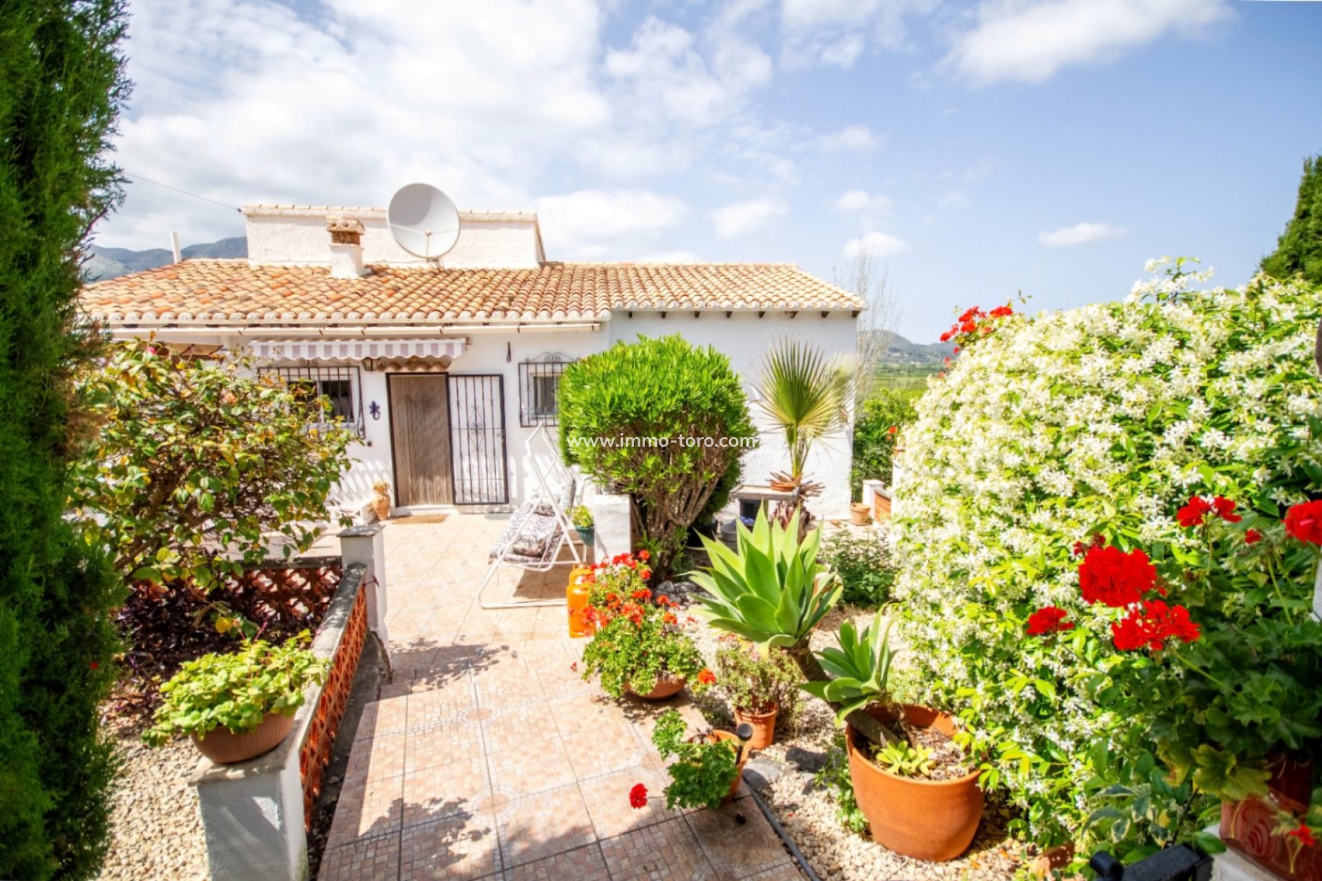 Revente - Villa - Orba