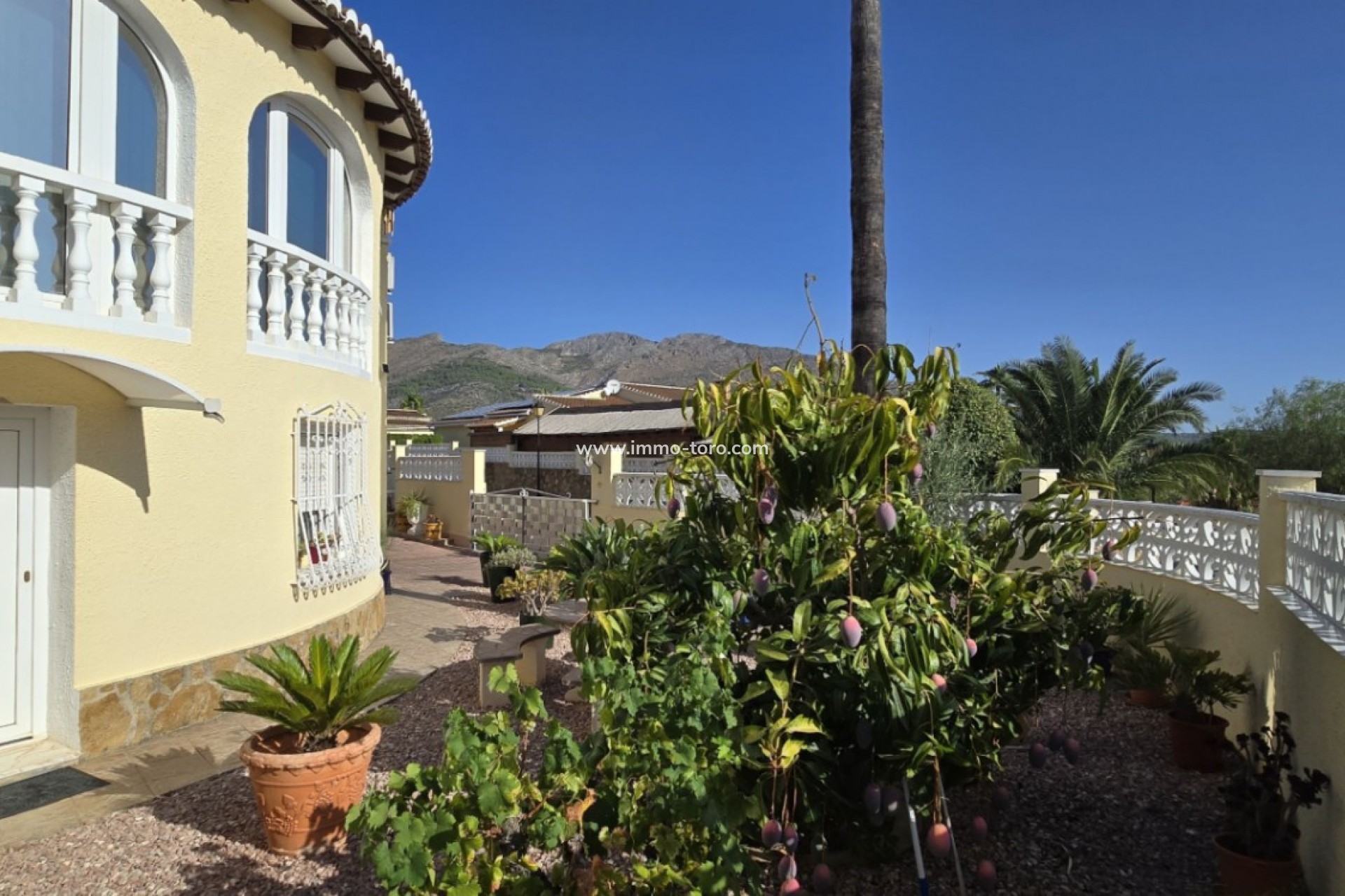 Revente - Villa - Orba