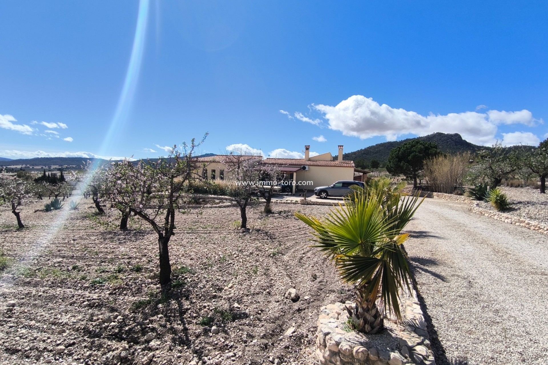 Revente - Villa - Sax - Salinas