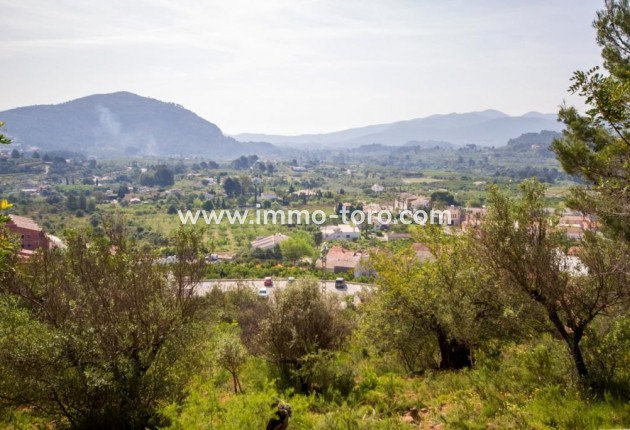 terrain - Venta - Murla - Murla