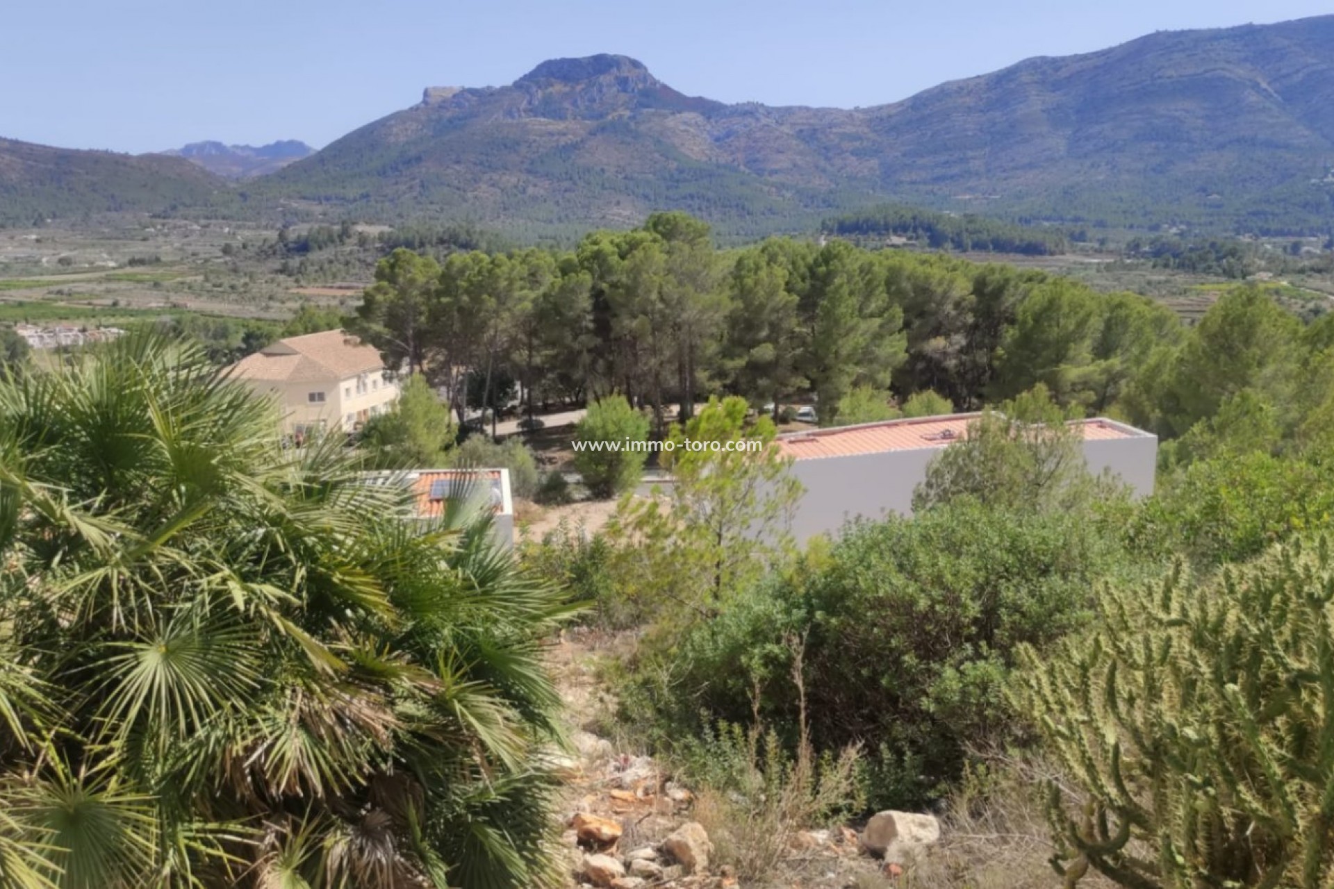 Venta - Plot - Alcalali - Alcalalí