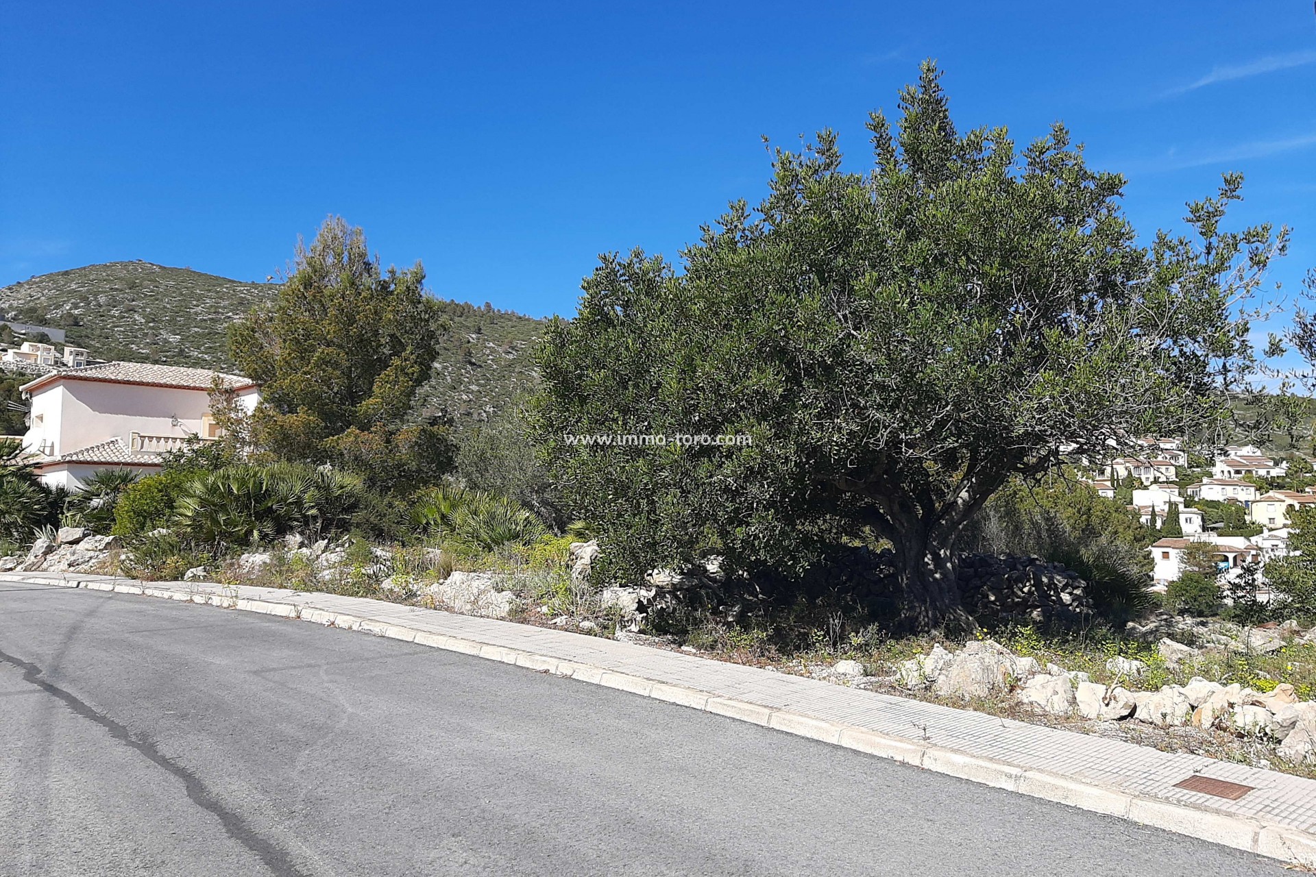 Venta - Plot - Alcalali - Benarrosa Garden