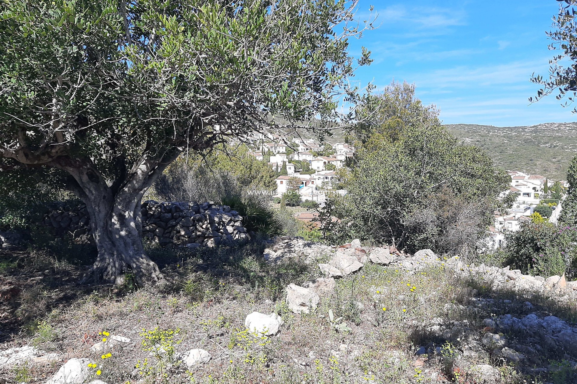 Venta - Plot - Alcalali - Benarrosa Garden