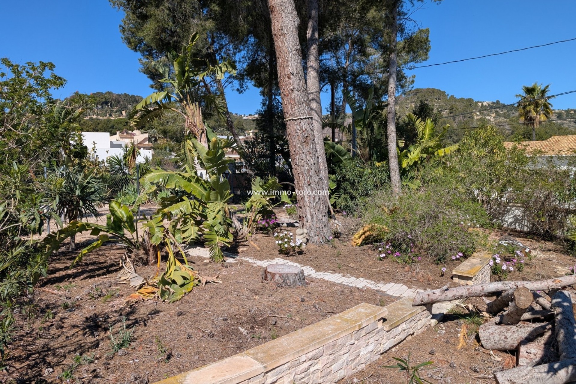 Venta - Plot - Benissa - Buenavista