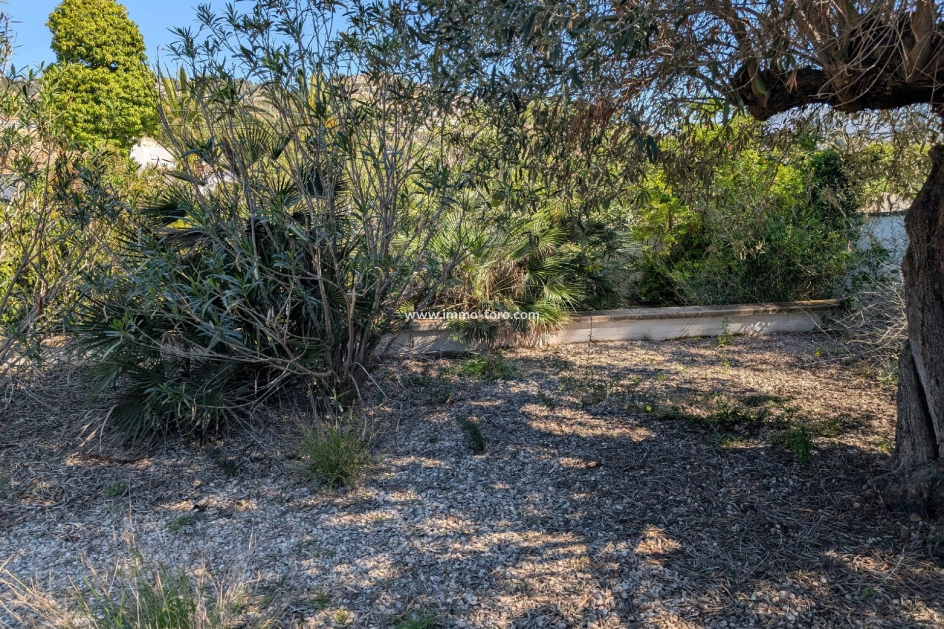 Venta - Plot - Benissa - Buenavista