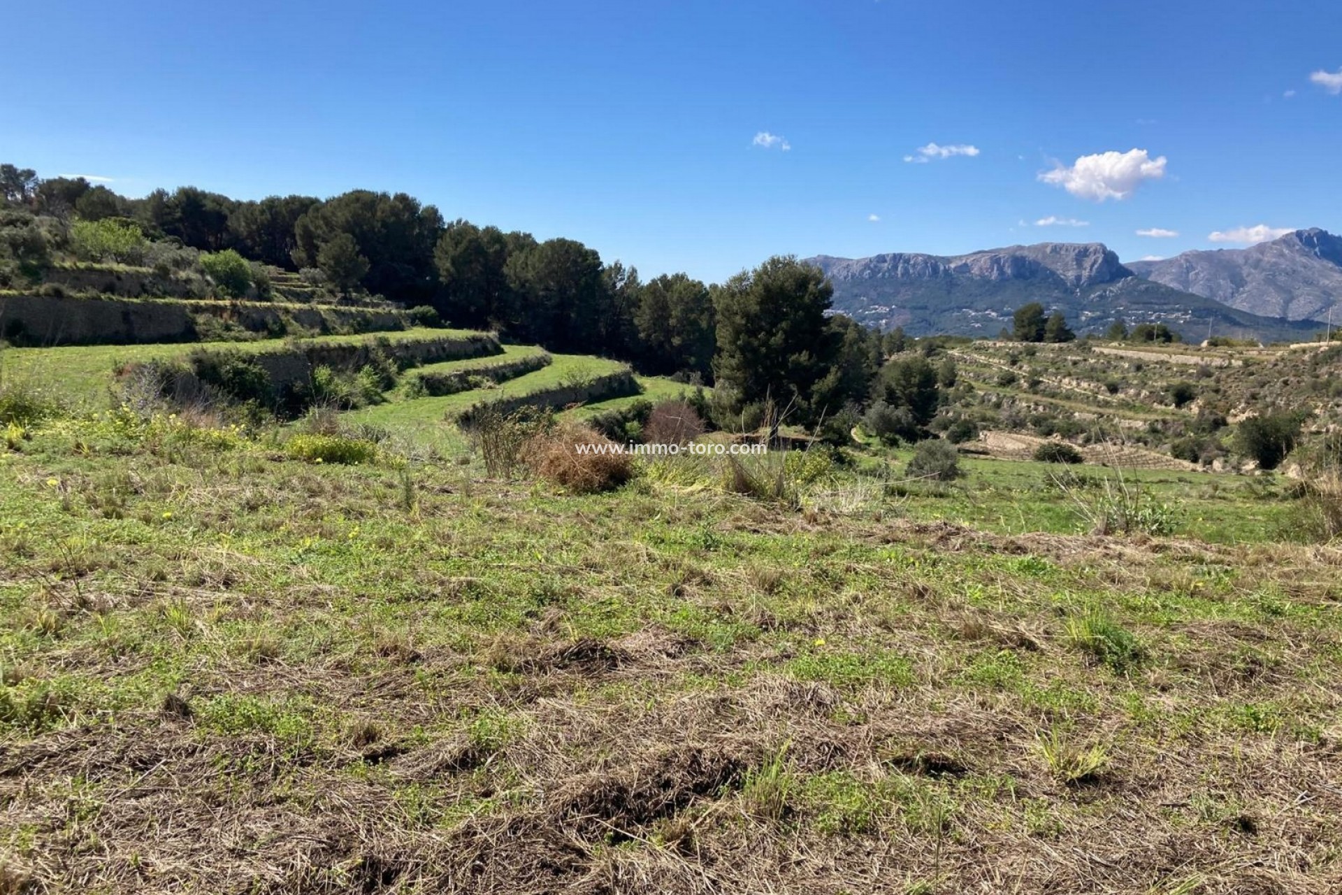 Venta - Plot - Benissa - Partida Biasner