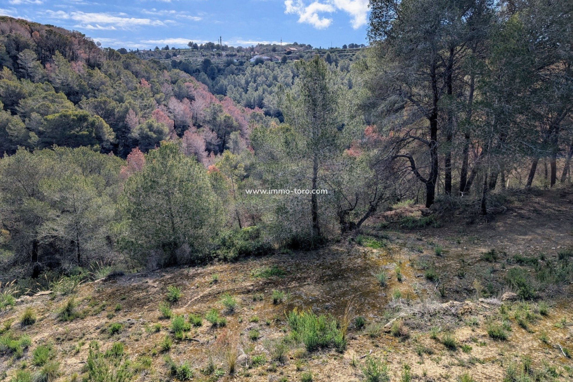 Venta - Plot - Benissa - Partida Biasner