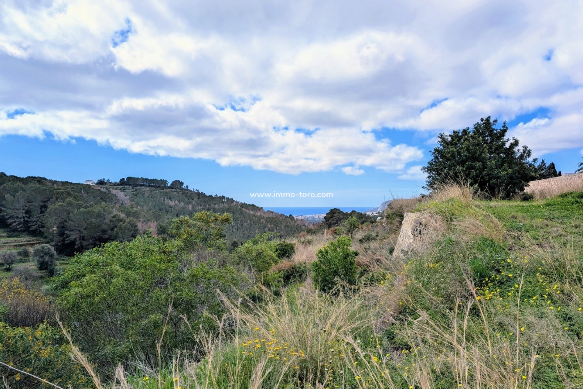 Venta - Plot - Benissa - Partida Biasner