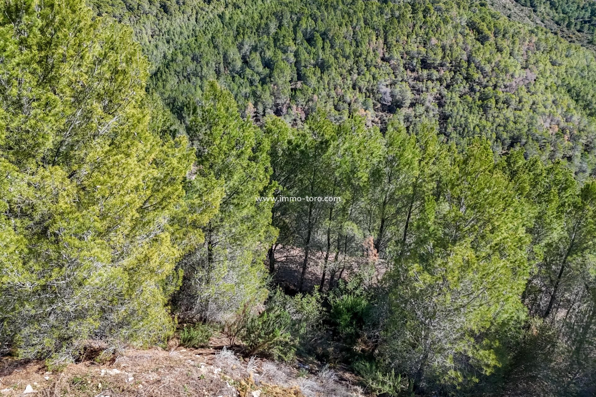 Venta - Plot - Callosa d'en Sarrià - Santa clara