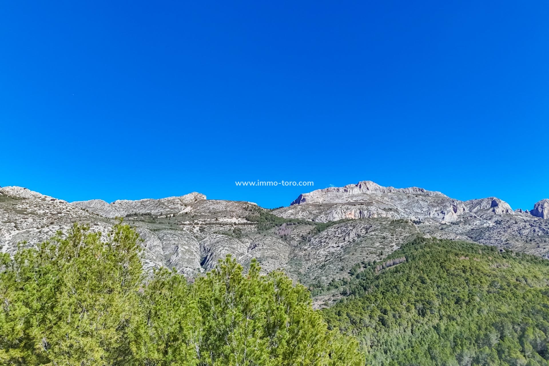 Venta - Plot - Callosa d'en Sarrià - Santa clara
