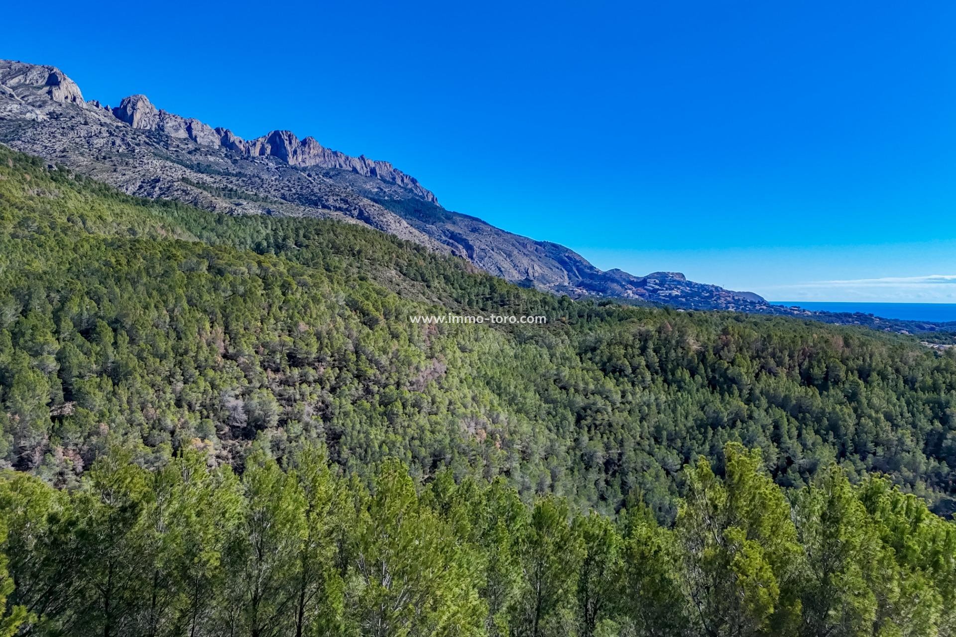 Venta - Plot - Callosa d'en Sarrià - Santa clara