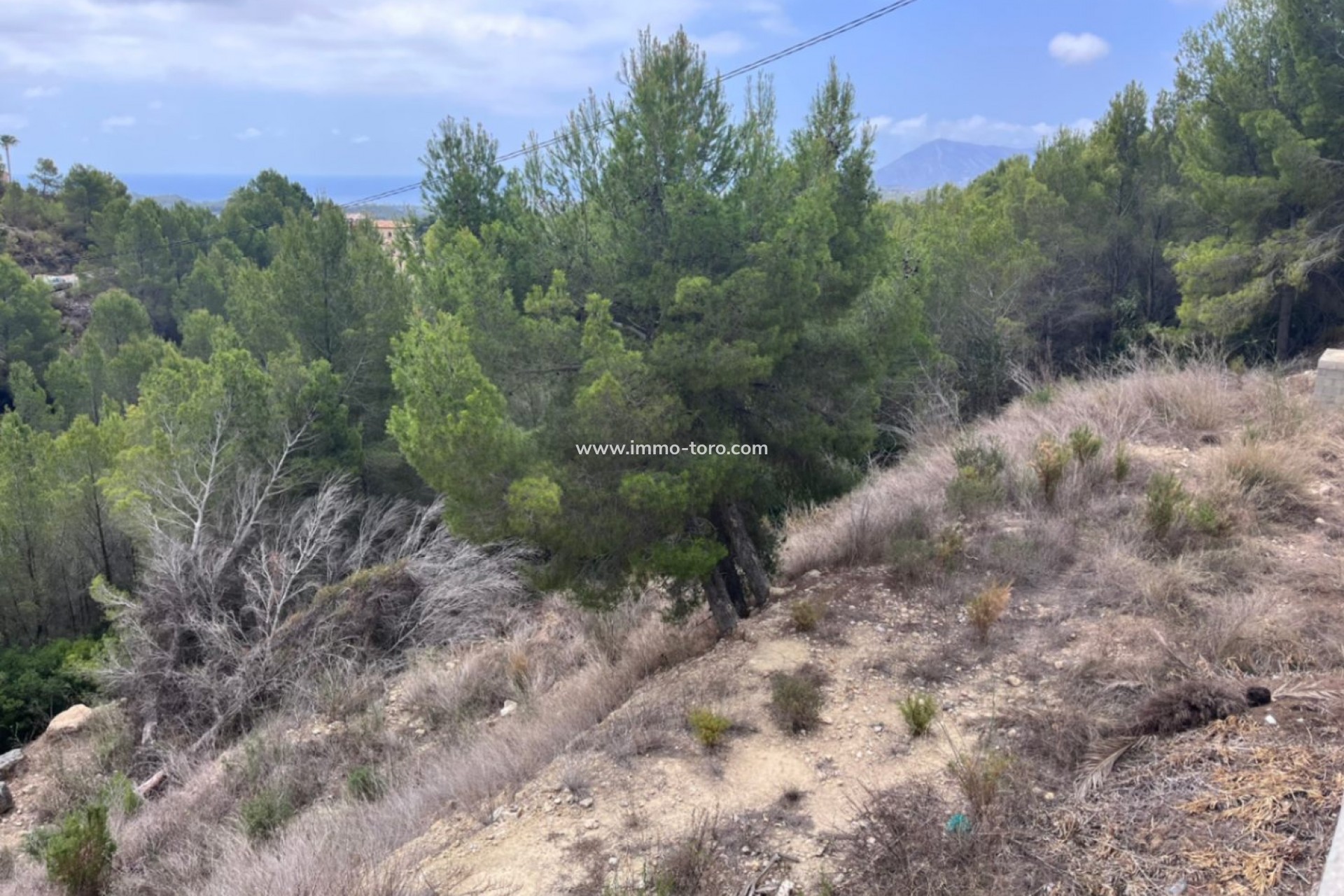 Venta - Plot - Callosa de Ensarriá