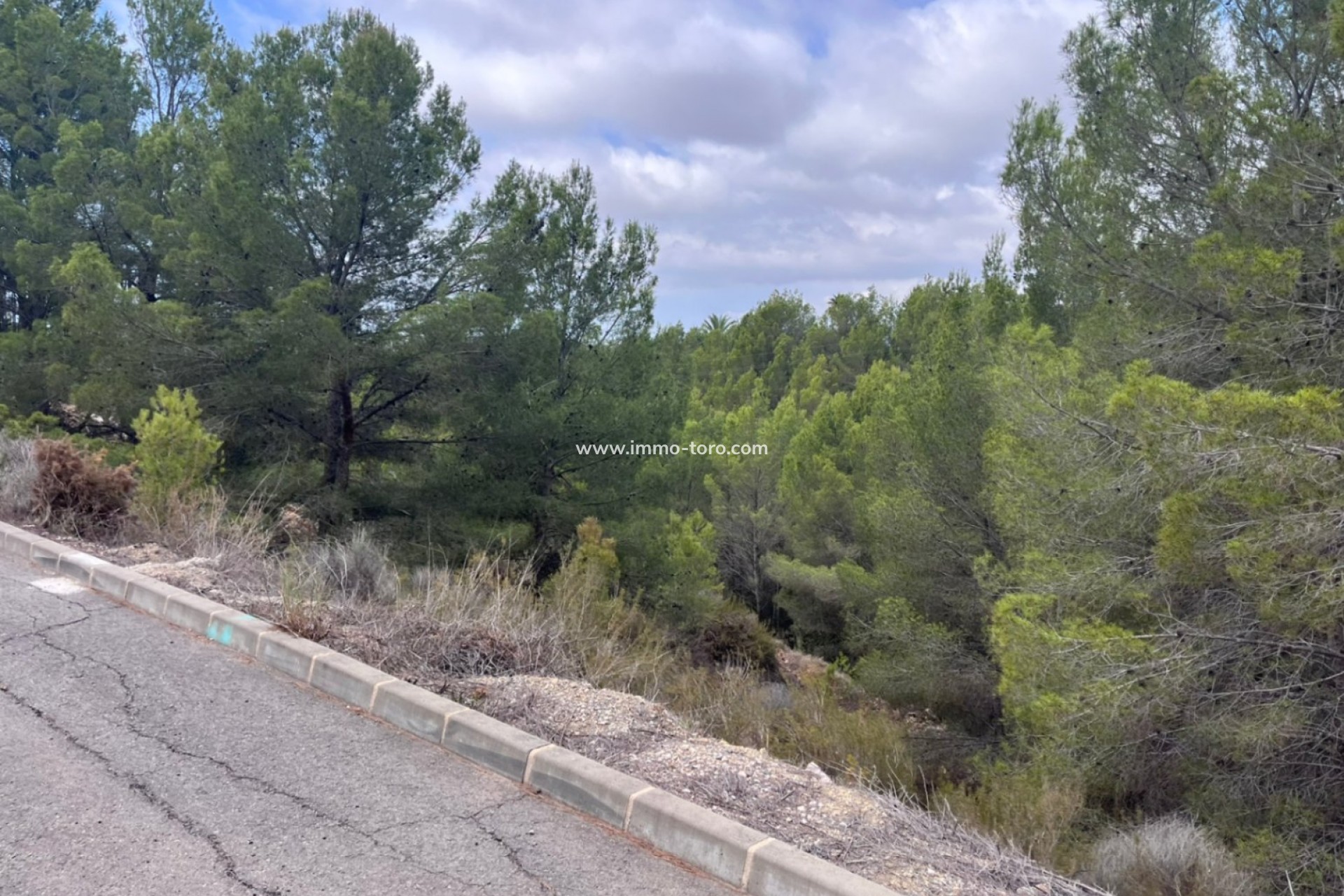 Venta - Plot - Callosa de Ensarriá