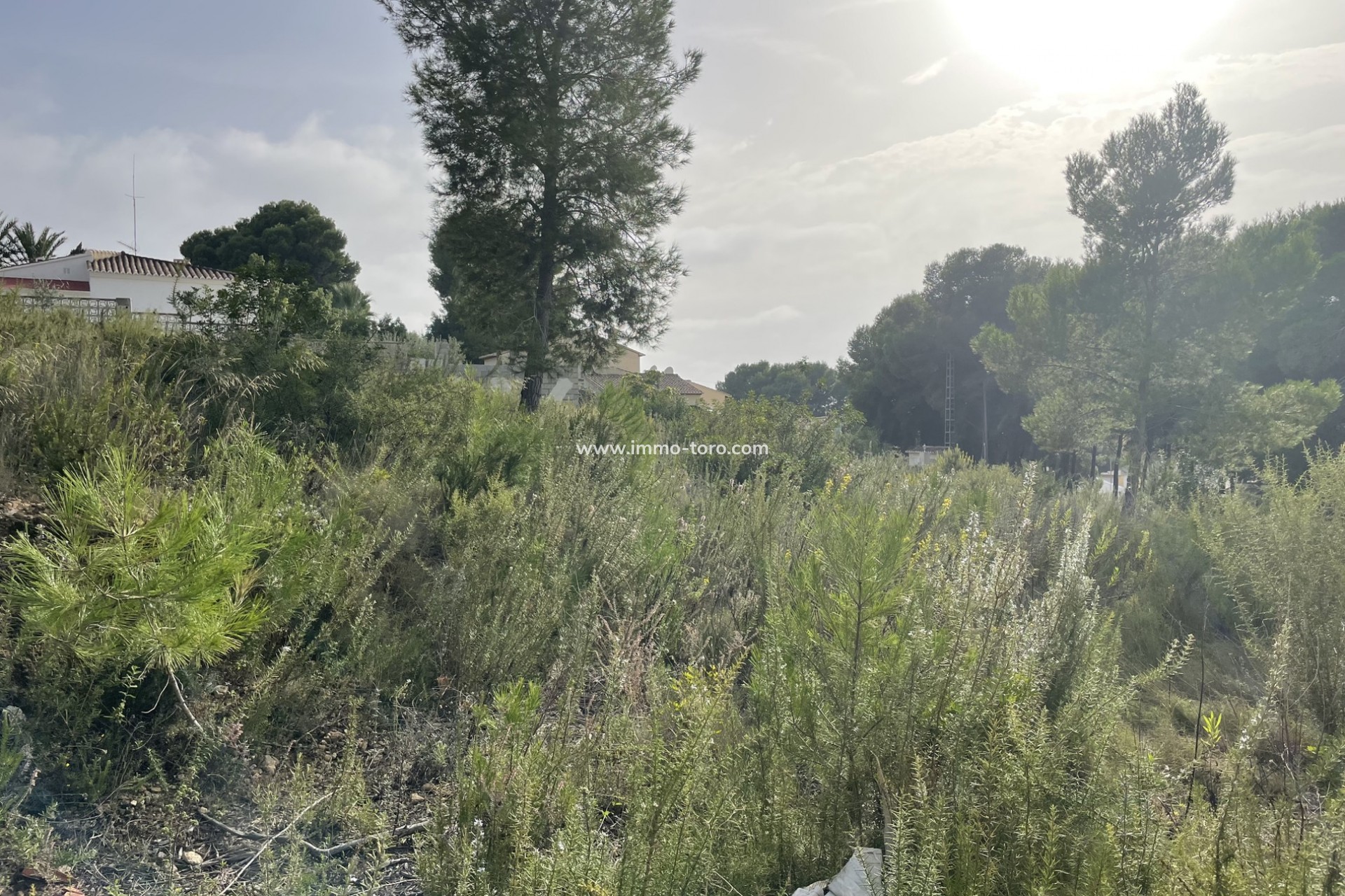 Venta - Plot - Moraira - Costera del Mar Moraira