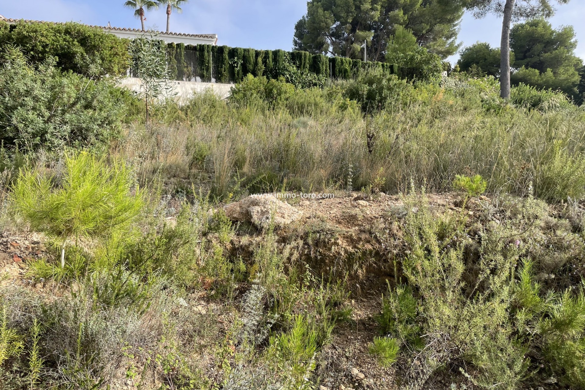 Venta - Plot - Moraira - Costera del Mar Moraira