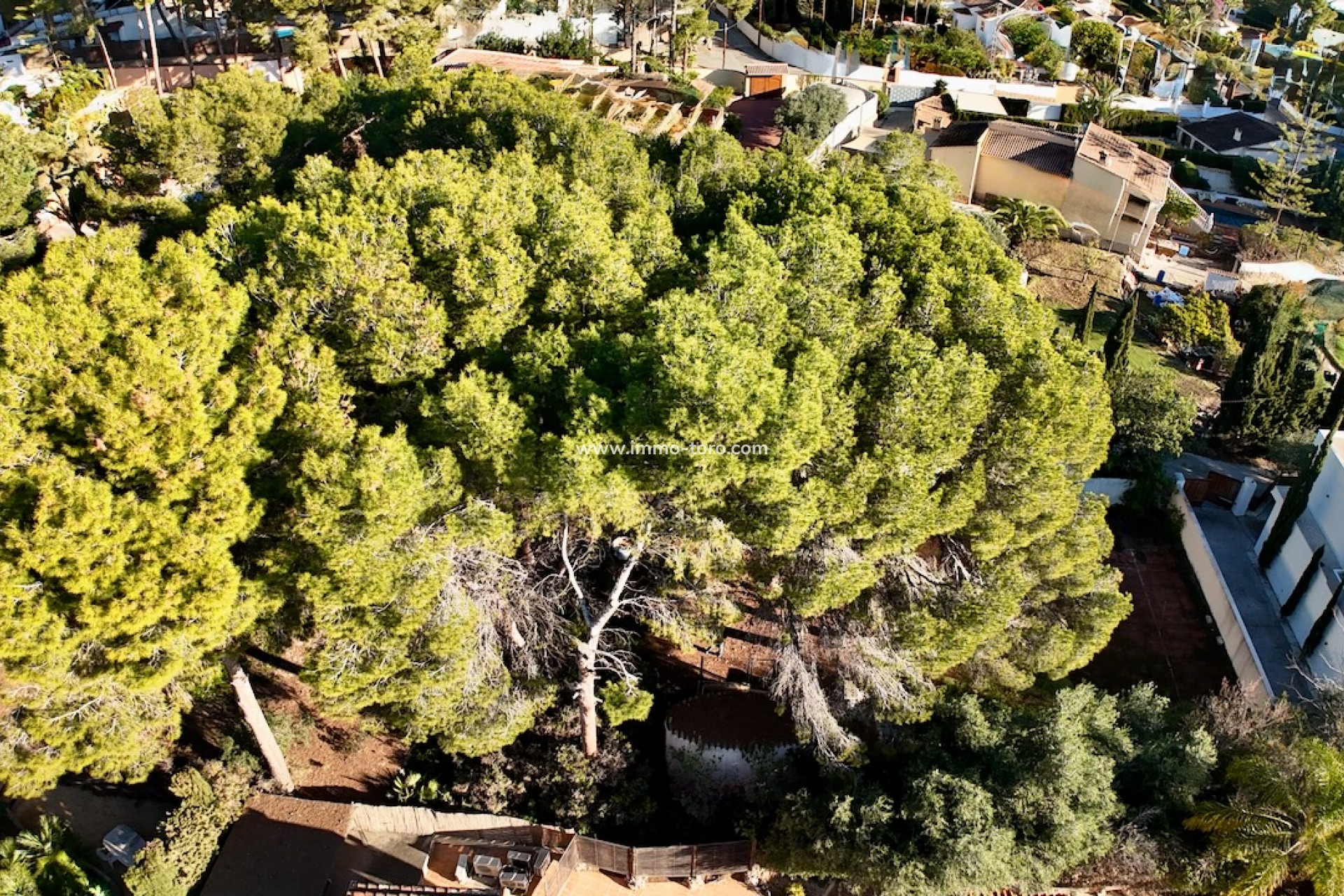 Venta - Plots of Land - Moraira - La Cometa