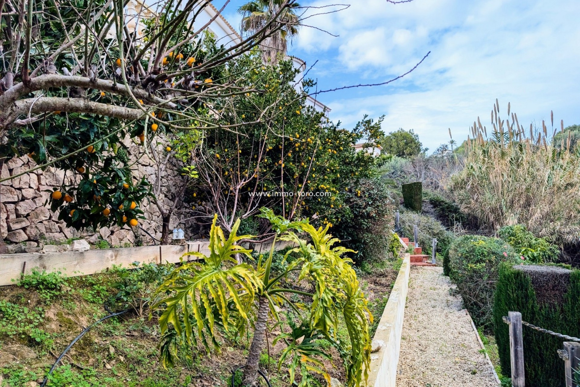 Venta - Villa / Chalet - Benissa - Fanadix