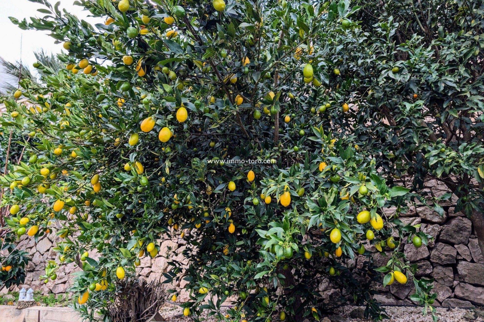 Venta - Villa / Chalet - Benissa - Fanadix