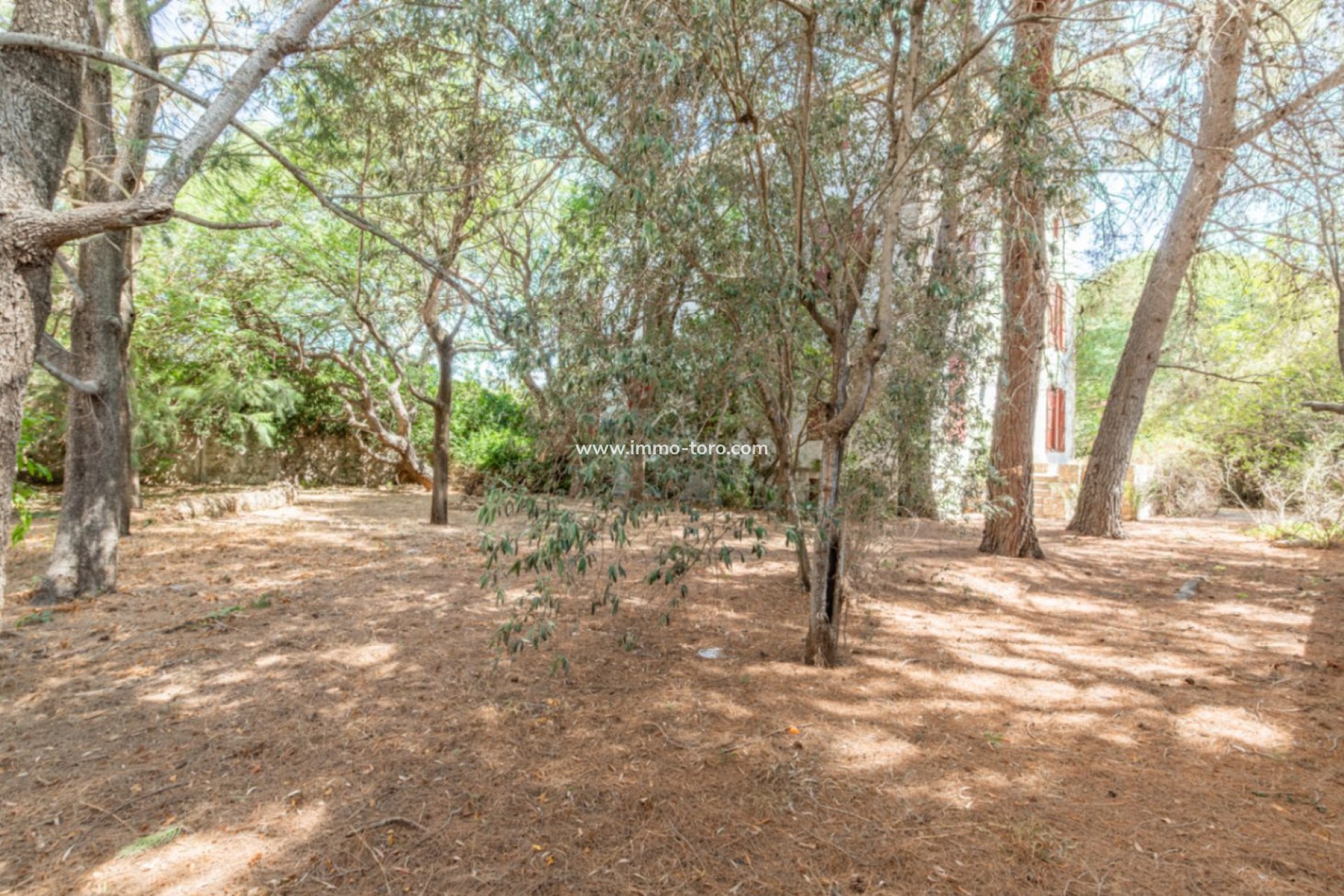 Venta - Villa / Chalet - Benissa - Pueblo
