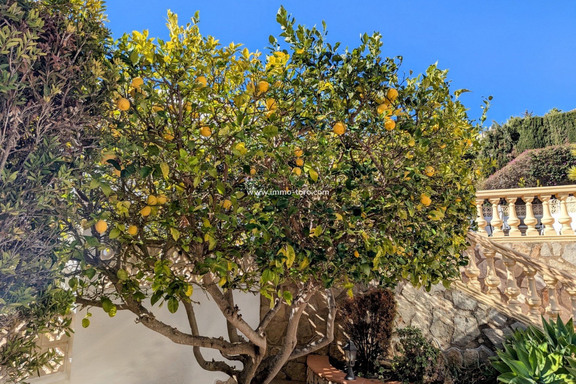 Venta - Villa / Chalet - Benitachell