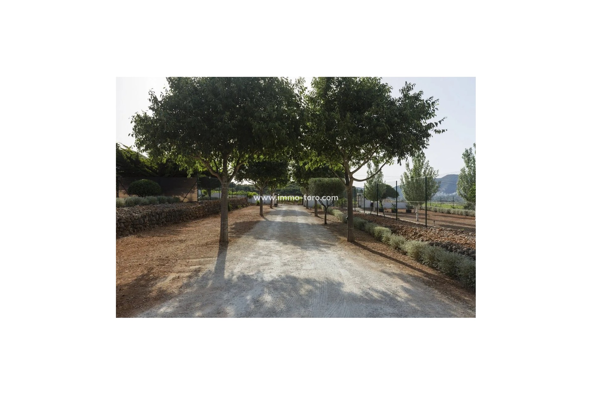 Venta - Villa / Chalet - Jalon - Jalón