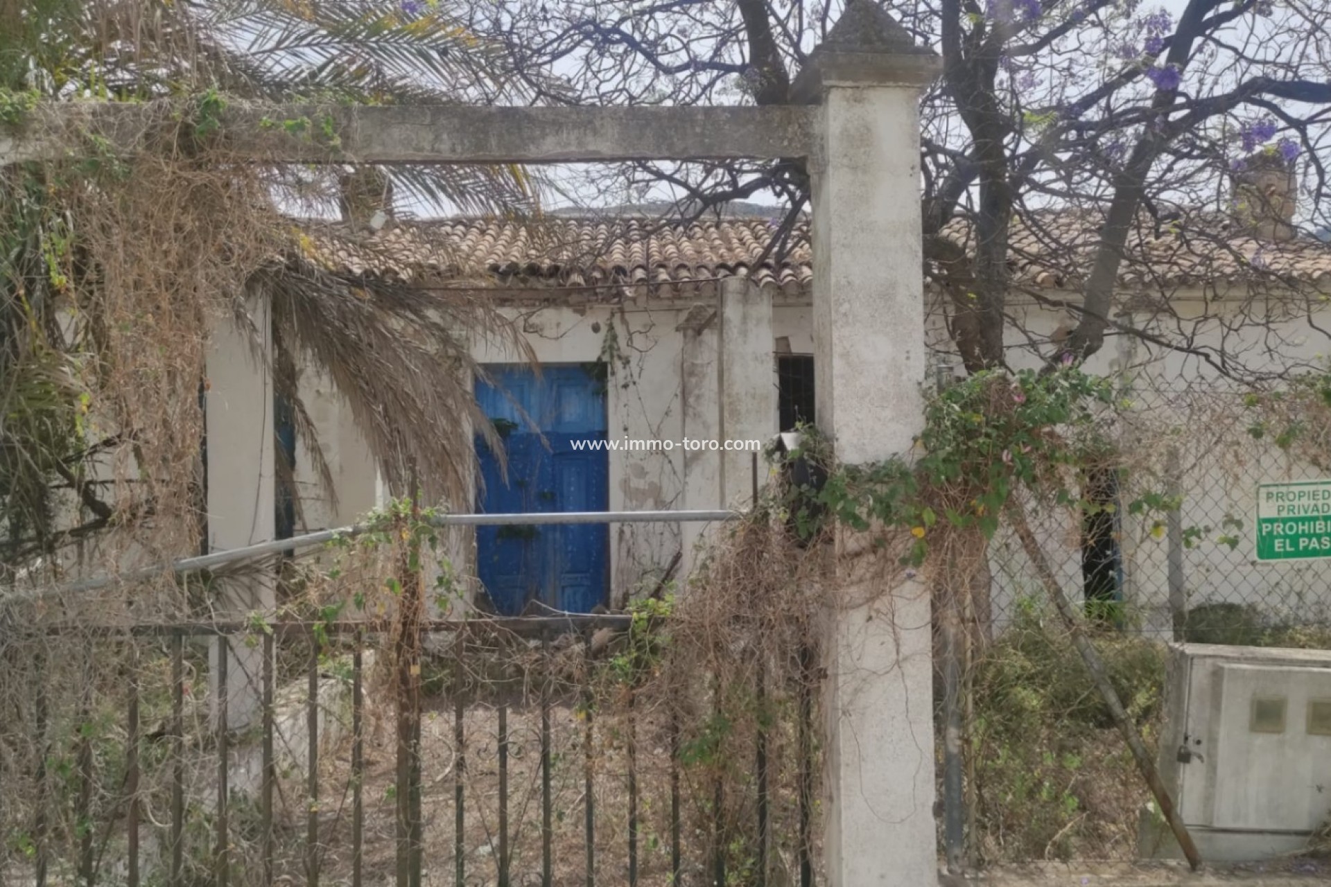 Venta - Villa / Chalet - Orba