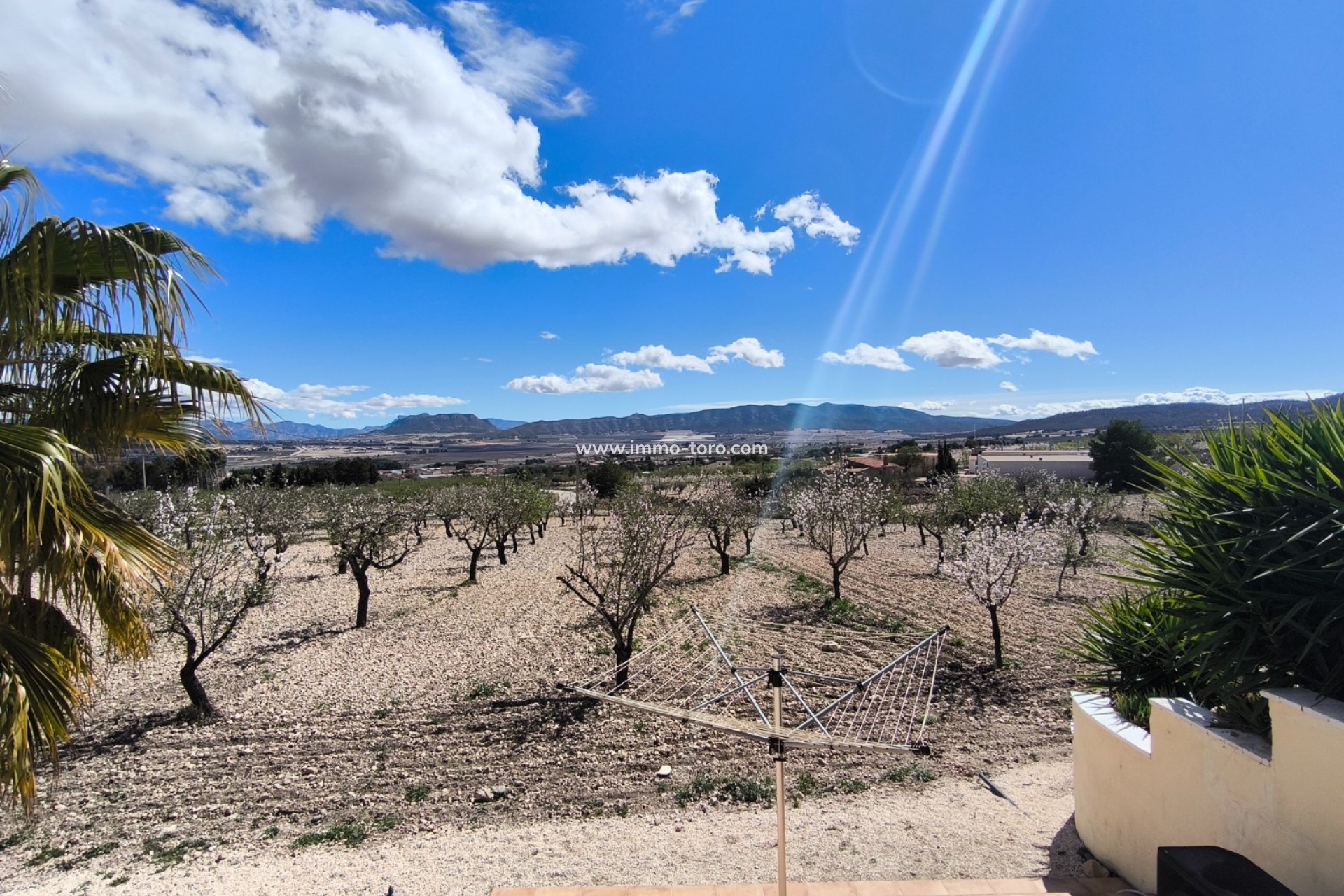 Venta - Villa / Chalet - Sax - Salinas