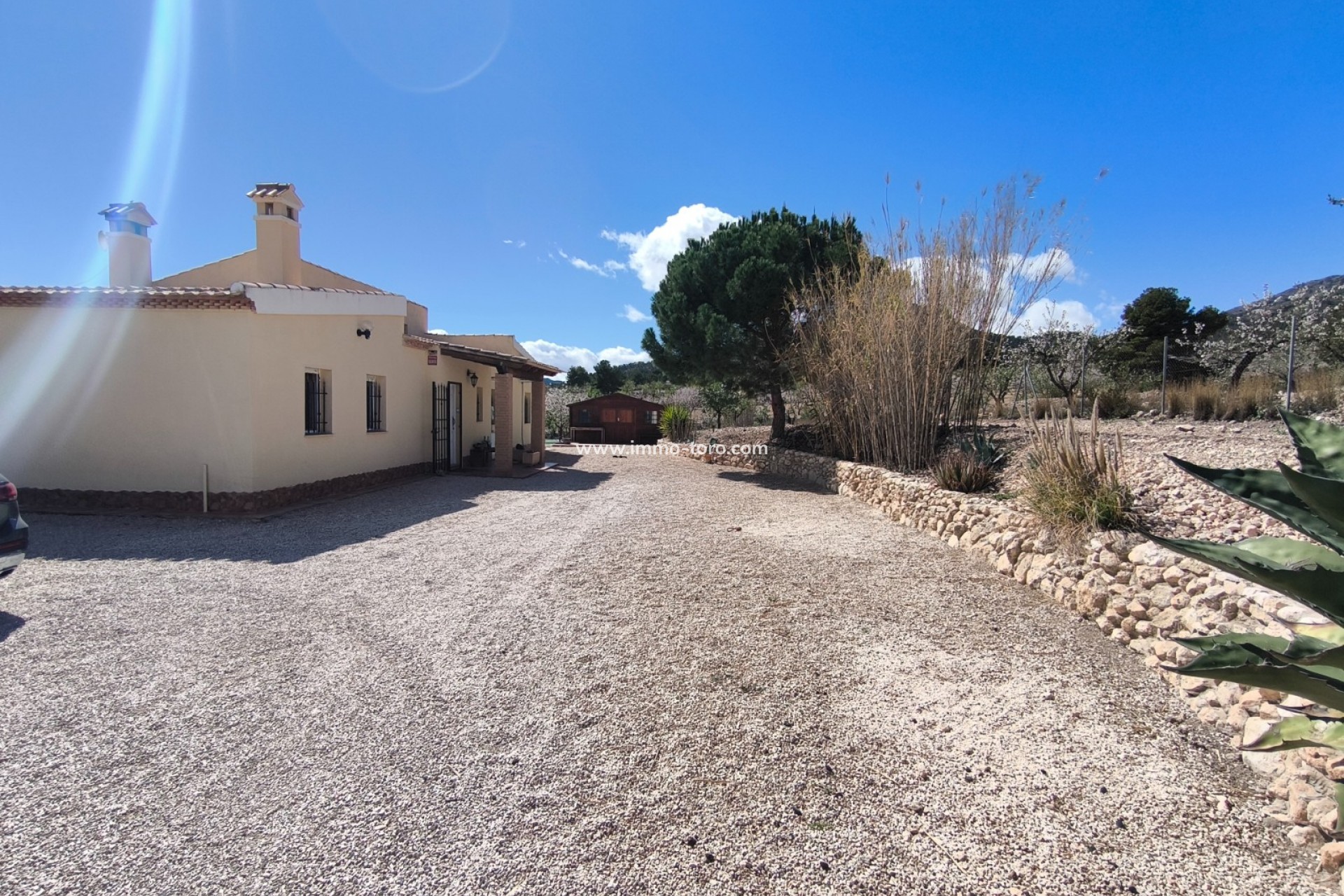 Venta - Villa / Chalet - Sax - Salinas